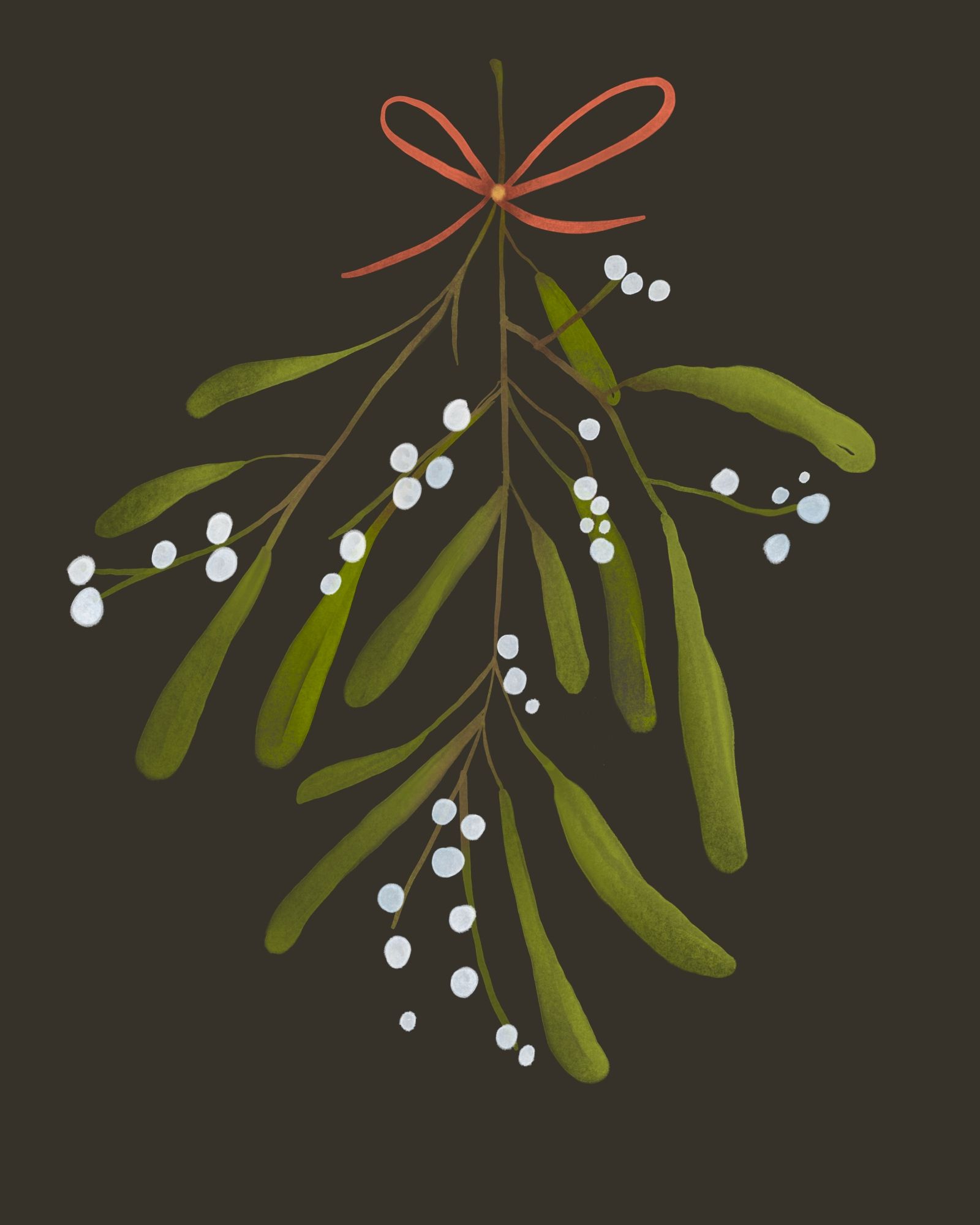 Illustration of mistletoe