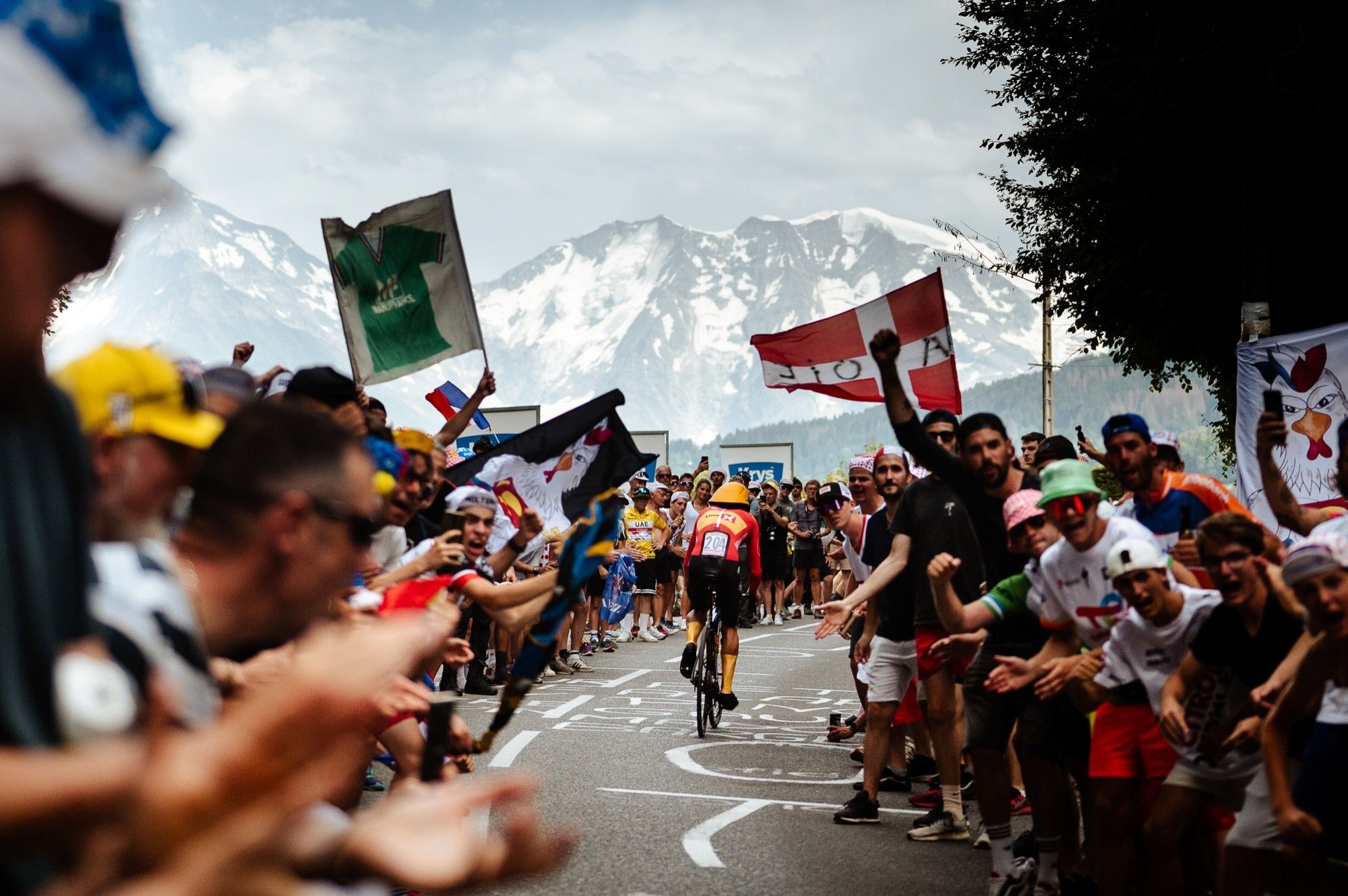 Rückenansicht eines Rennradfahrers auf der Tour de France. Links und rechts von ihm stehen jubelnde Menschen, die klatschen und Fahnen schwenken. Im Hintergrund sind schneebedeckte Berge zu sehen.