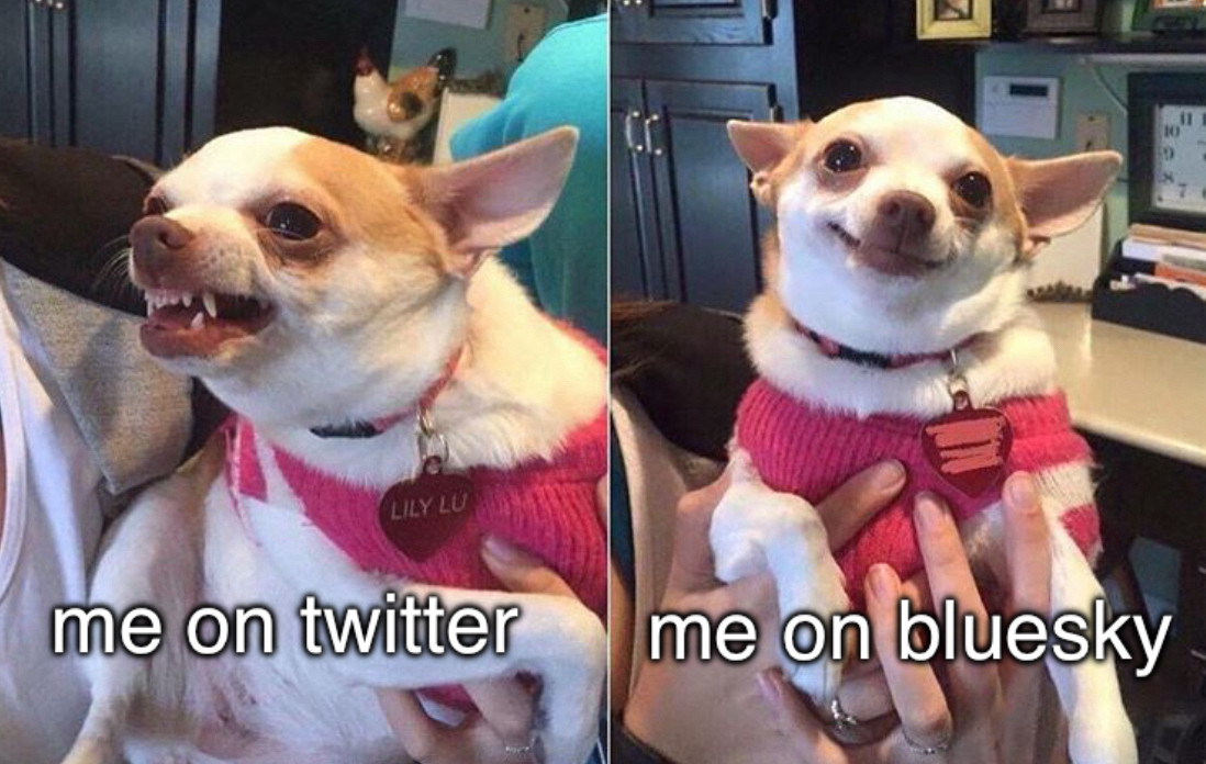 on the left there is a chihuahua that looks ANGERY and it is captioned “me on twitter”. on the right the is the same chihuahua but looking happy and cute and it is captioned “me on bluesky”. end alt text

y’all, i was a MENACE on twitter. i turned a new leaf on this website. i’m glad i did but man sometimes the internet gods test me