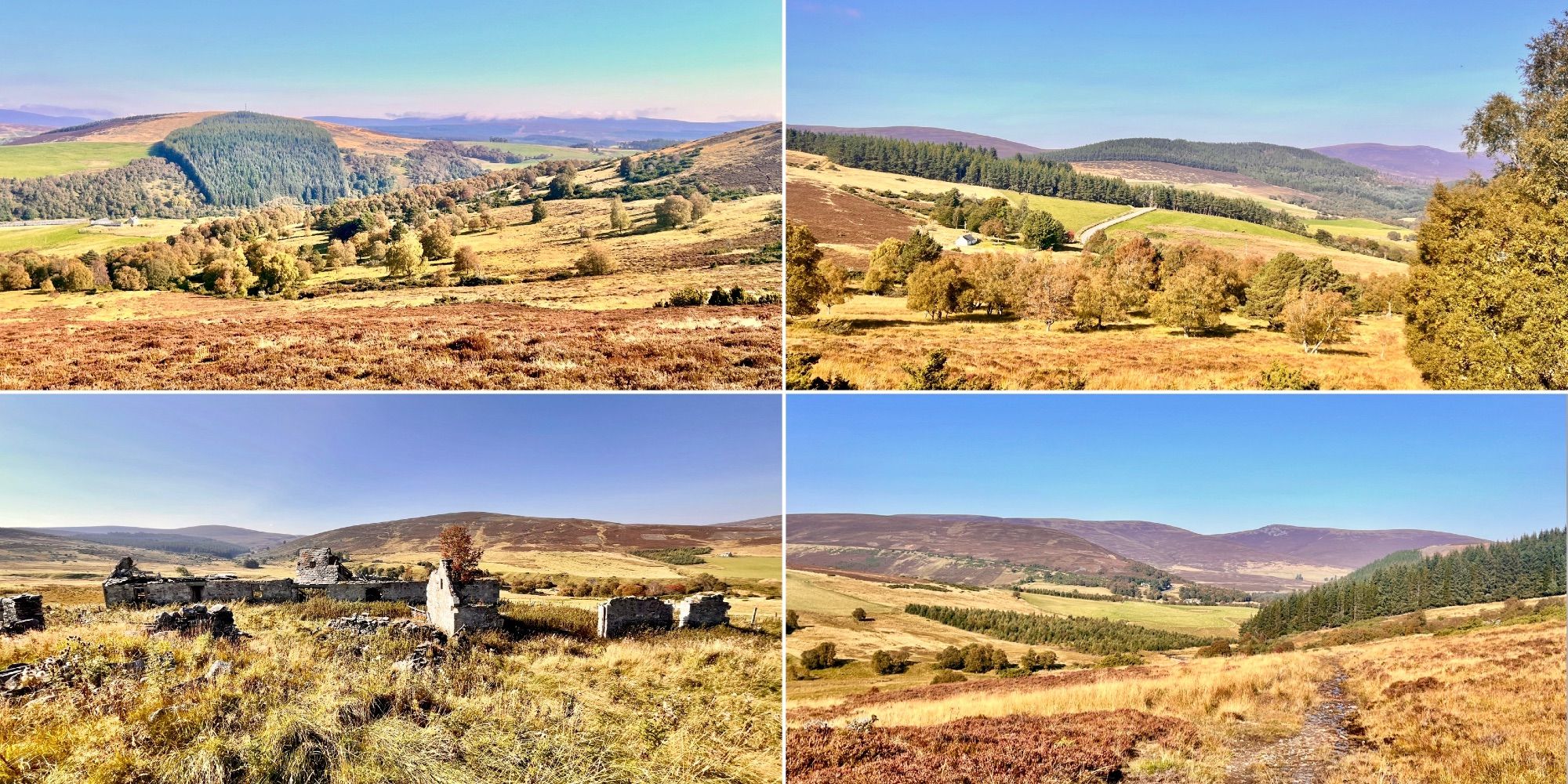 Four photo collage: highland landscape, brown heathe, green yellow grass, leading to purple/blue hills, dark green patches of conifer woodland, blue, cloudless sky. Bottom left: and grey stone derelict Croft buildings.