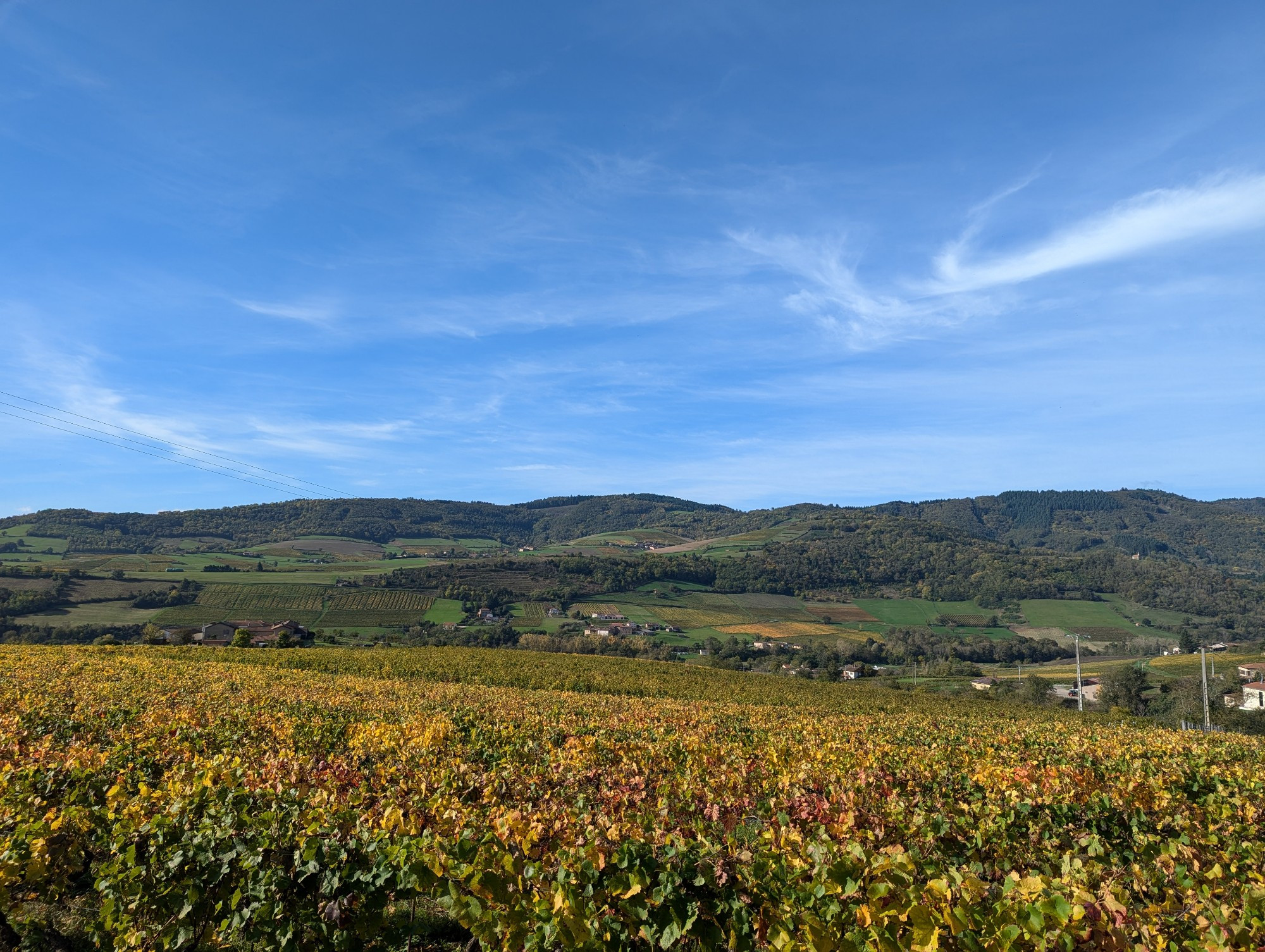 Photo d'une zone vallonnée avec des vignes en premier plan, le feuillage mélangeant les tons verts, jaunes et rouges. Plus loin dans la vallée on peut voir quelques maisons, et d'autres collines bien vertes avec des petites forêts et des zones agricoles.
On aperçoit aussi un ciel bleu avec de très rares petits nuages blancs.