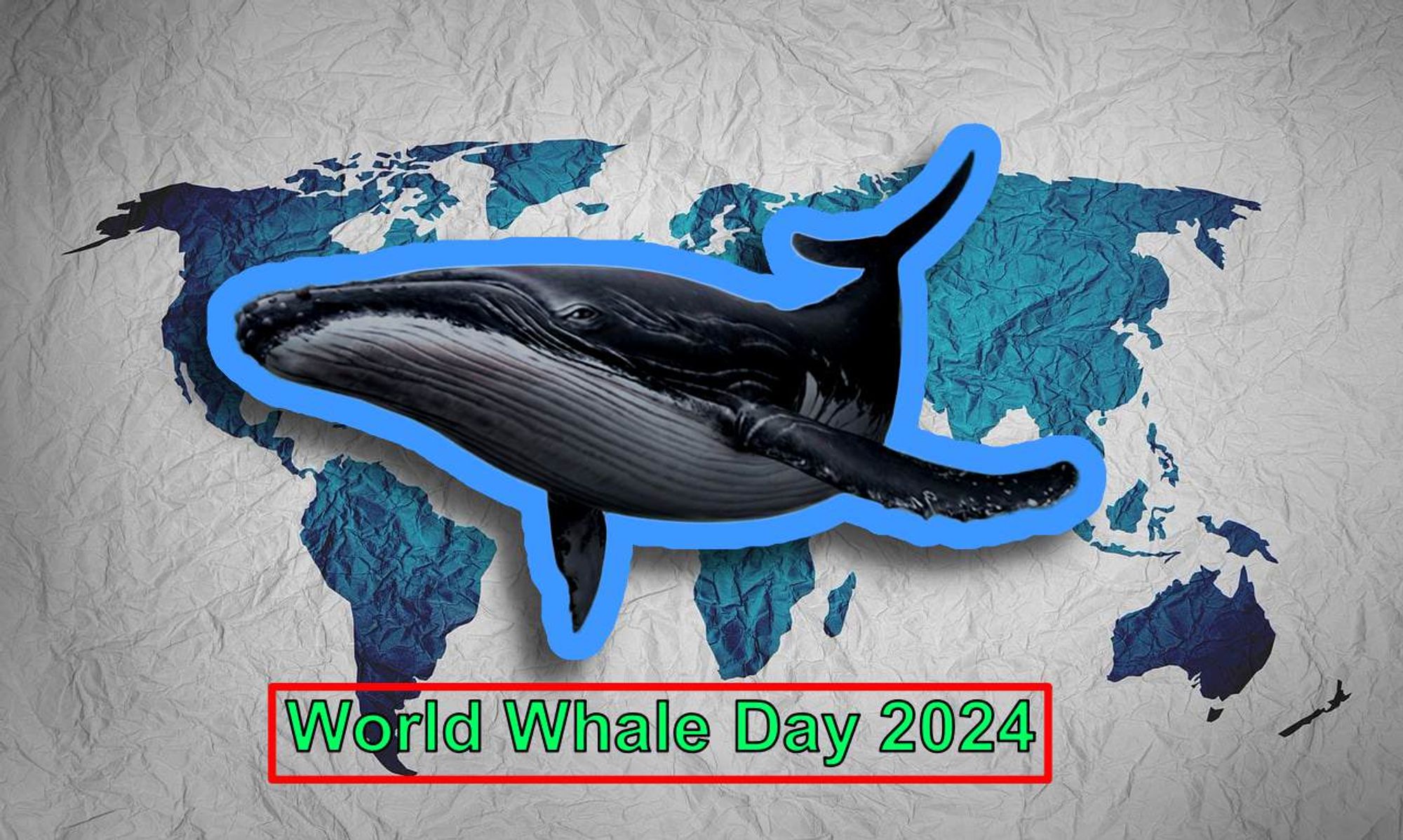 An illustration of a Humpback Whale on a world map. There is a blue outline around the whale. World Whale Day 2024 is printed on the bottom of the picture there is a red frame around the text.