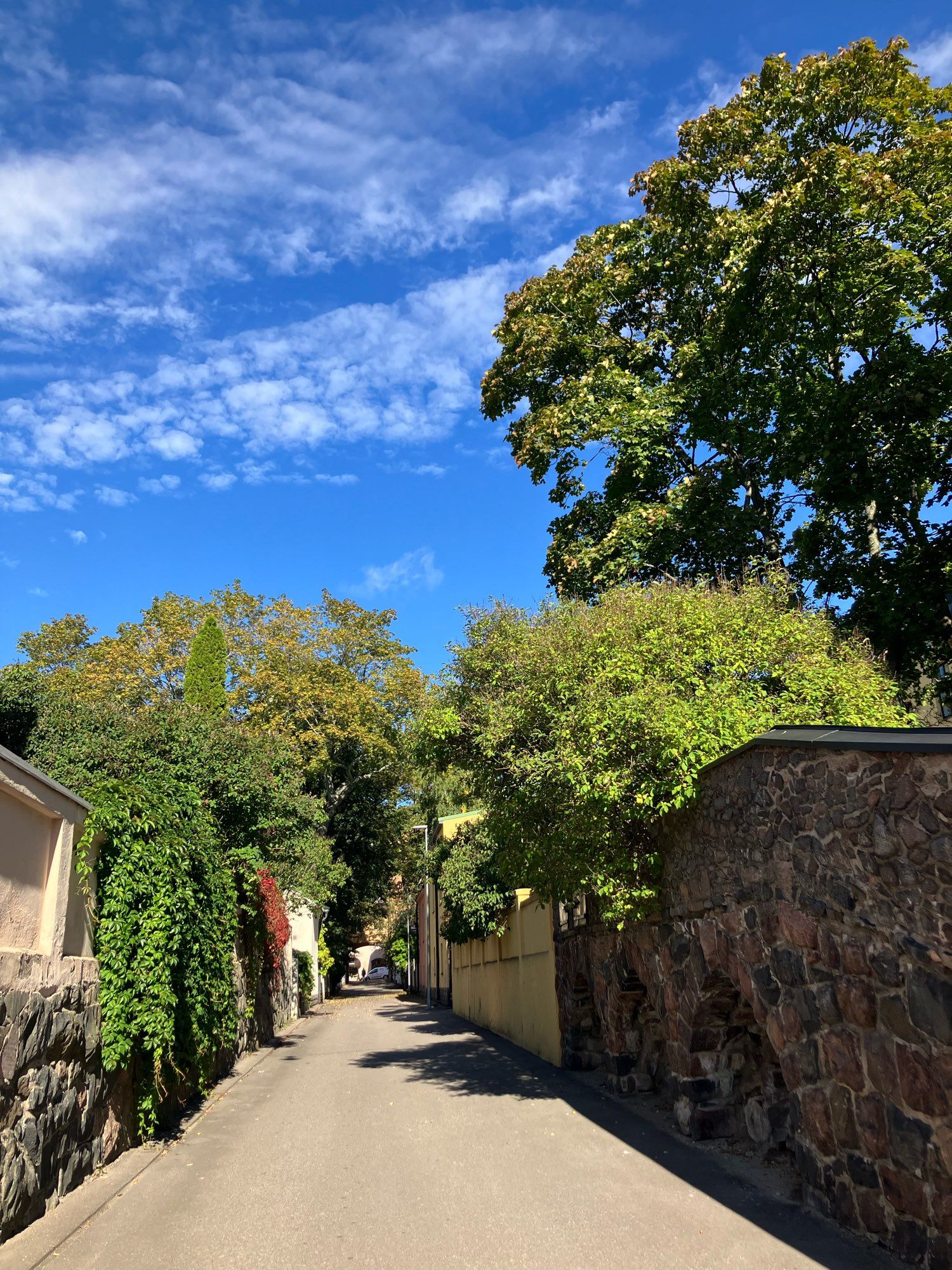 Kirkas sininen taivas, vähän pilviä. Kapeahko kuja, paljon puiden ja pensaiden vehreyttä. Huvilakuja Tehtaankadun suuntaan