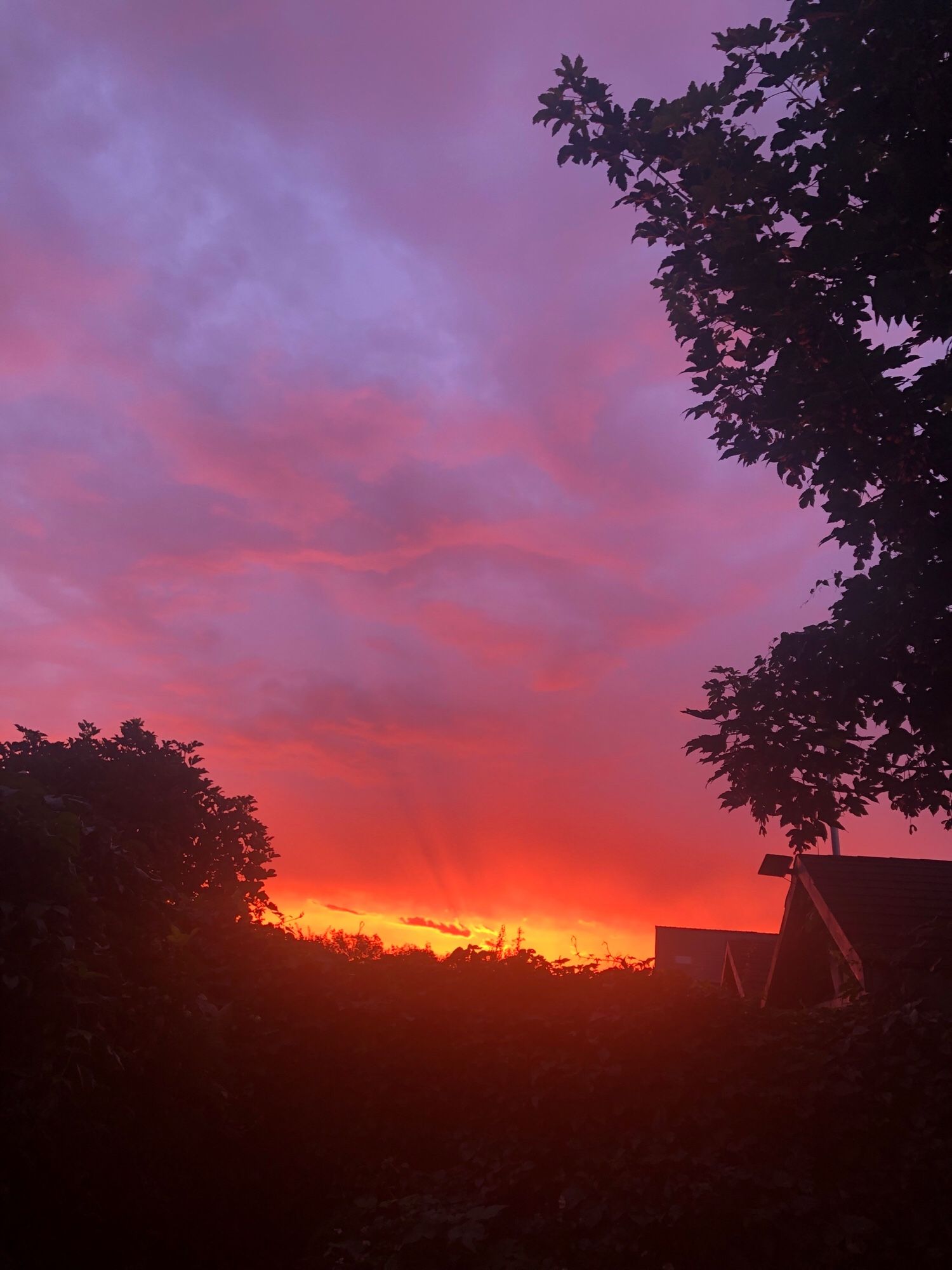 Sonnenaufgang im Reihenhausgarten