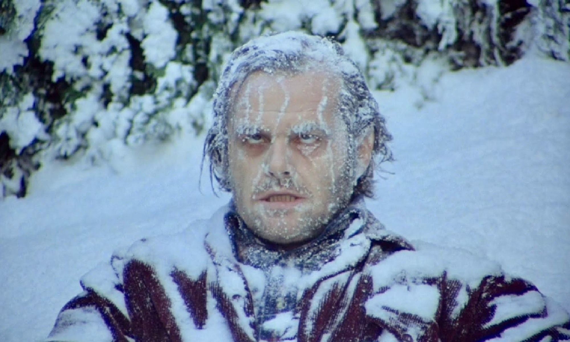 A shot of Jack from The Shining frozen to death in his haunted house-induced rage