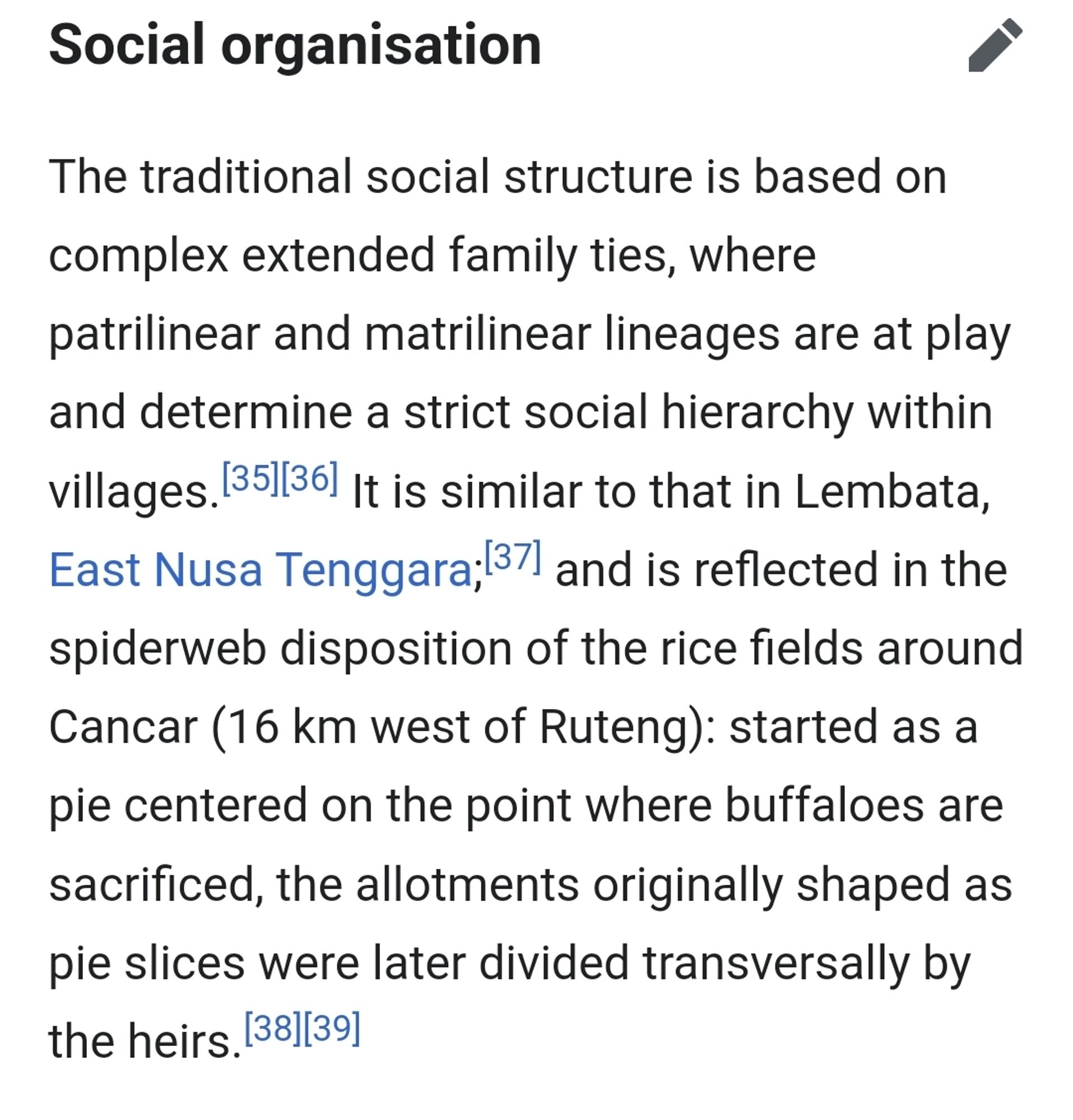 The traditional social structure is based on complex extended family ties, where patrilinear and matrilinear lineages are at play and determine a strict social hierarchy within villages.[35][36] It is similar to that in Lembata, East Nusa Tenggara;[37] and is reflected in the spiderweb disposition of the rice fields around Cancar (16 km west of Ruteng): started as a pie centered on the point where buffaloes are sacrificed, the allotments originally shaped as pie slices were later divided transversally by the heirs.