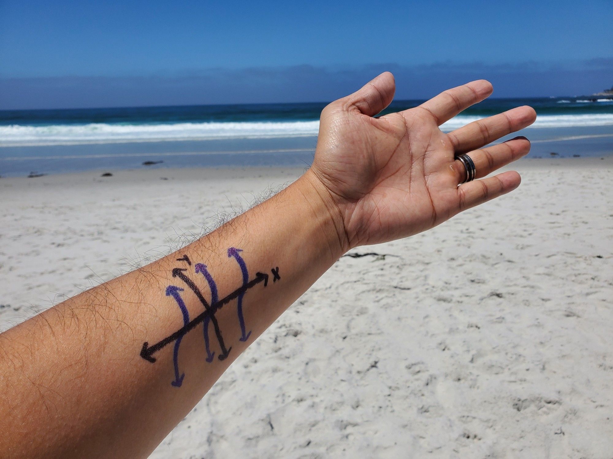 A graph of y=tan(x) drawn on my arm. The ocean is in the background.