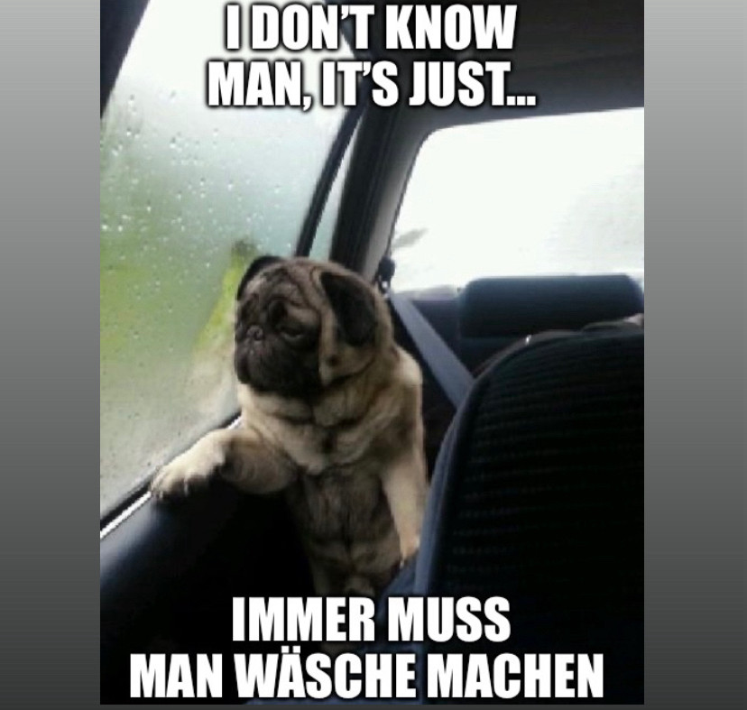 introspective pug meme: ein mops schaut traurig aus einem beregneten autofenster
text: „ I DON'T KNOW MAN, IT'S JUST...
IMMER MUSS
MAN WÄSCHE MACHEN“