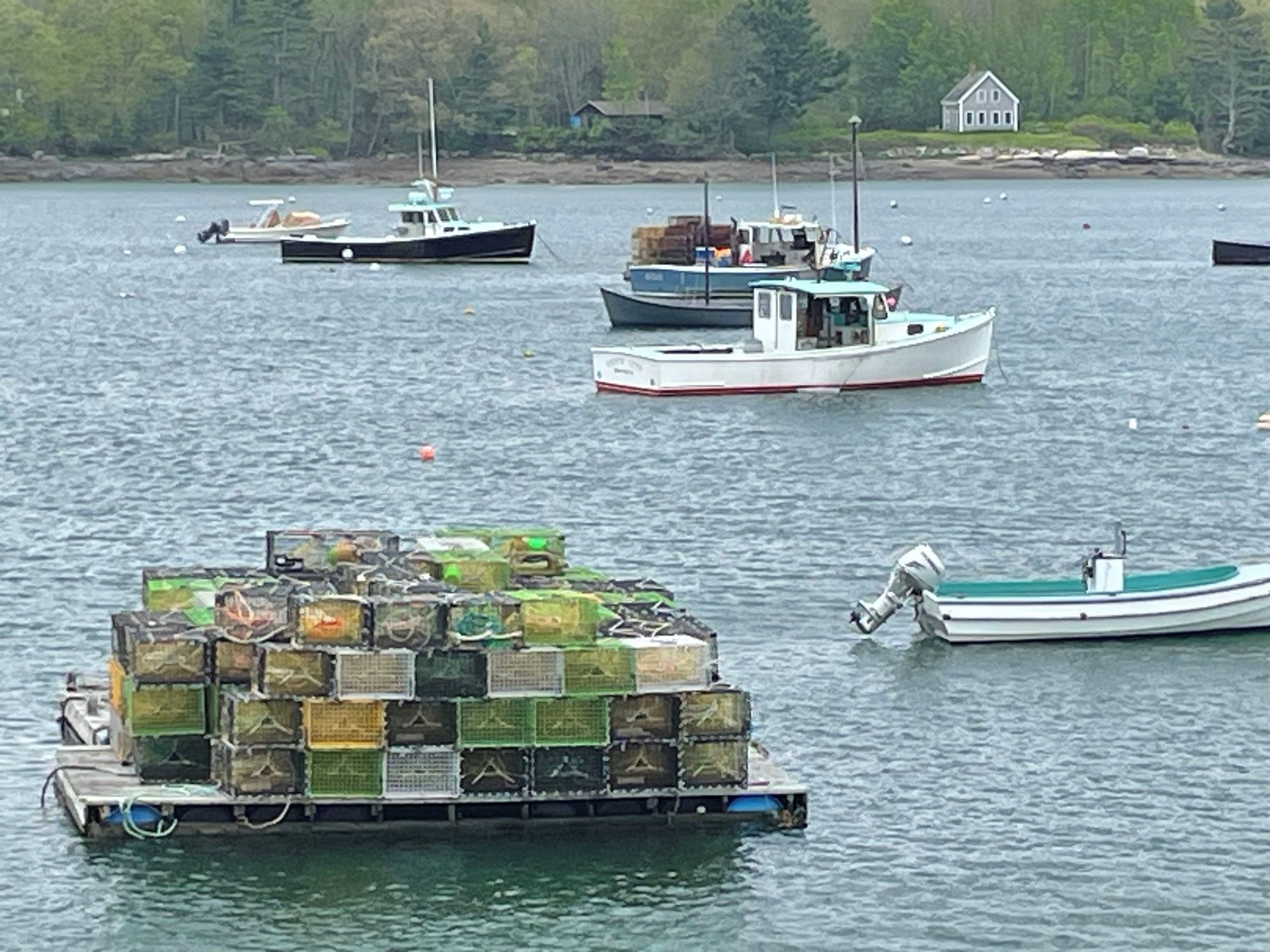 Looking out over a small bay with rectangular lobster traps stacked on a wooden raft in the foreground.  Fishing boats float in the mid-distance and the far shore is thick with trees and two houses in a clearing.  (May 2024, Maine)