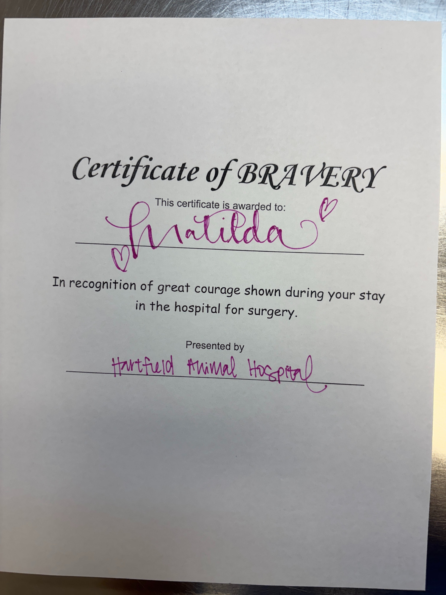 Tilly's Certificate of Bravery. It's little things like this that make me love our vet so much. They shared cute little stories of how they spent their day with Tilly too. 