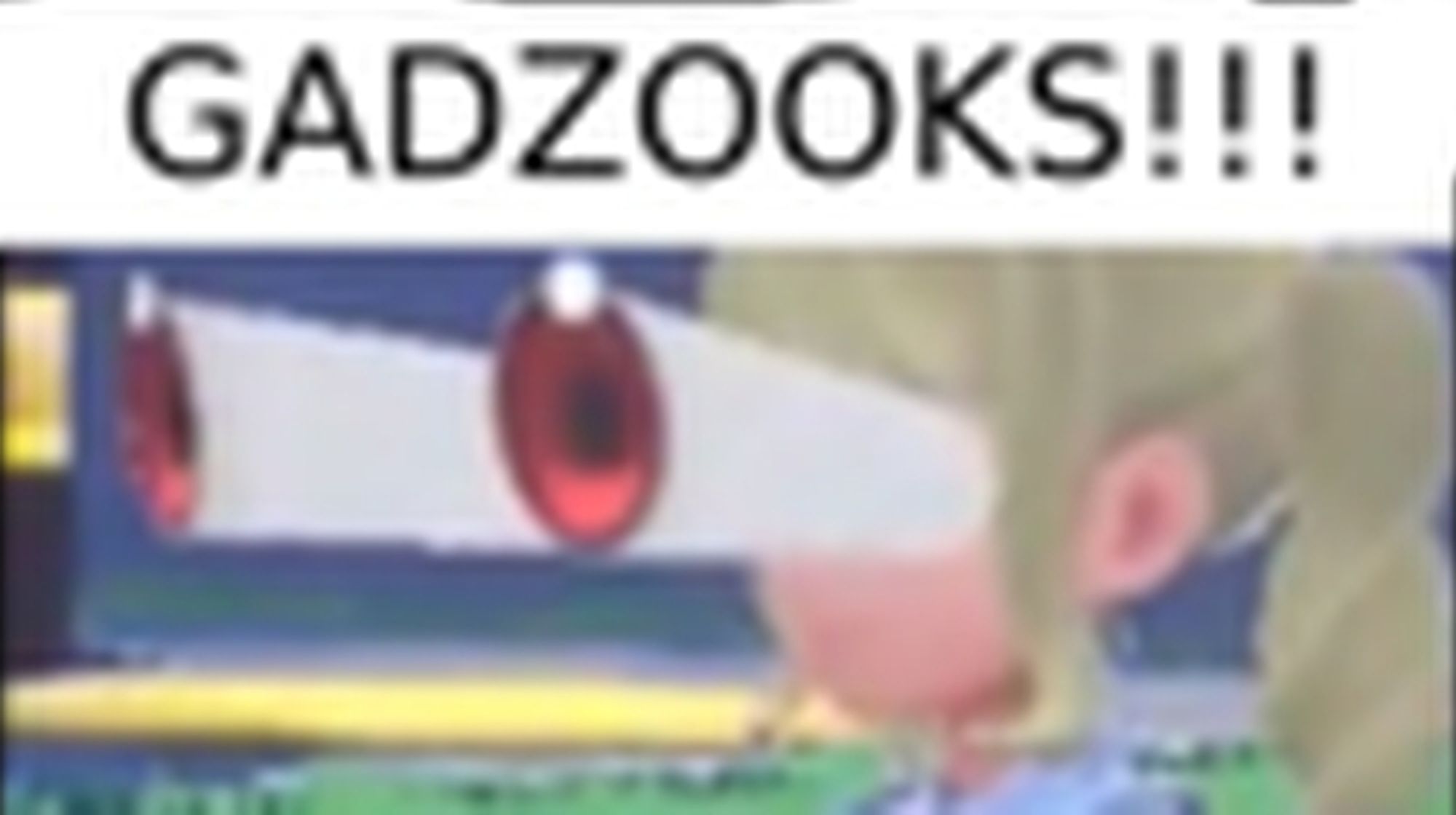 A low res screenshot of a pokemon game glitching with the text "GADZOOKS!!!" over it