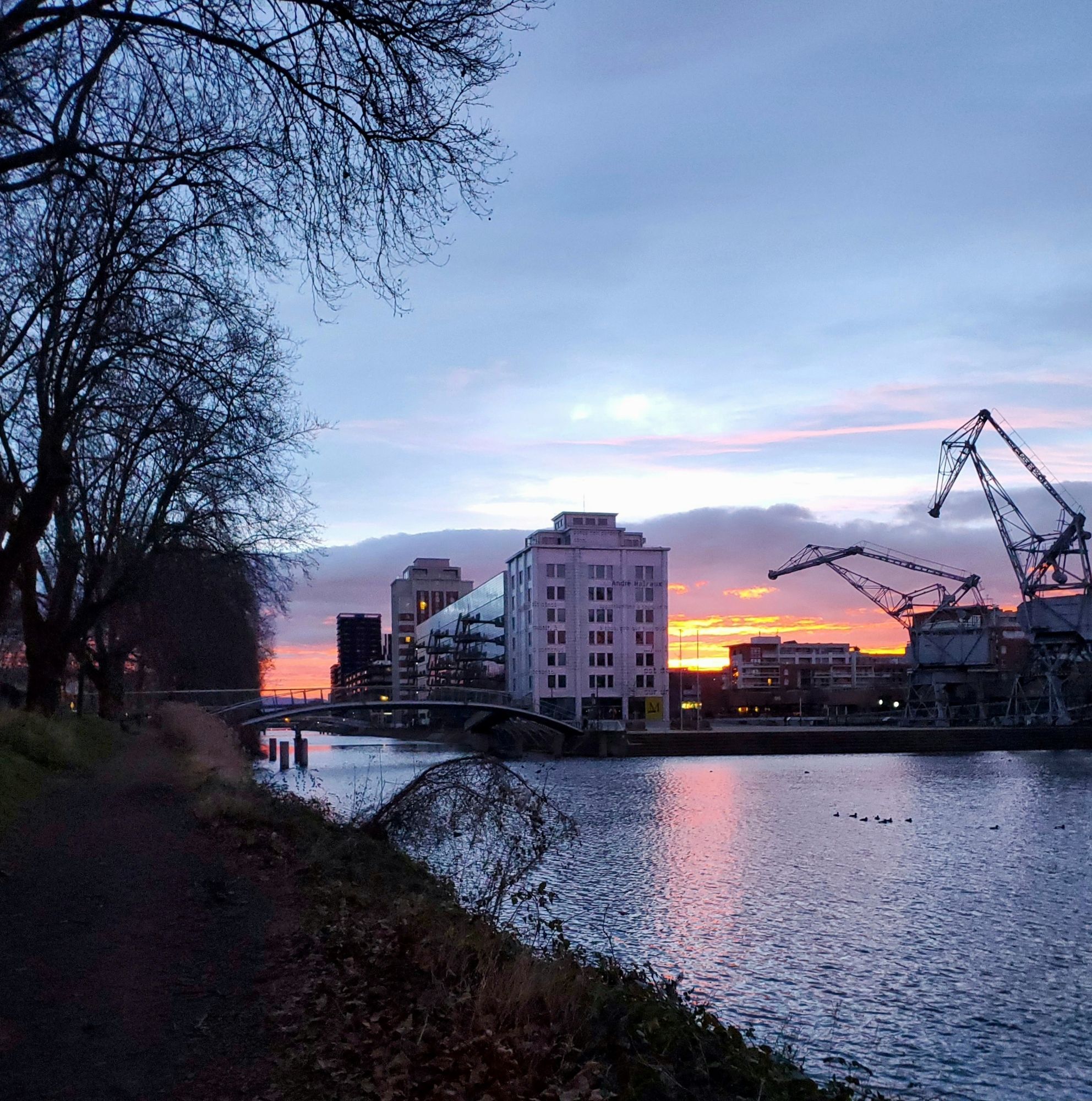 Ciel rose et orange au lever de soleil, bâtiments modernes, plan d'eau et arbres