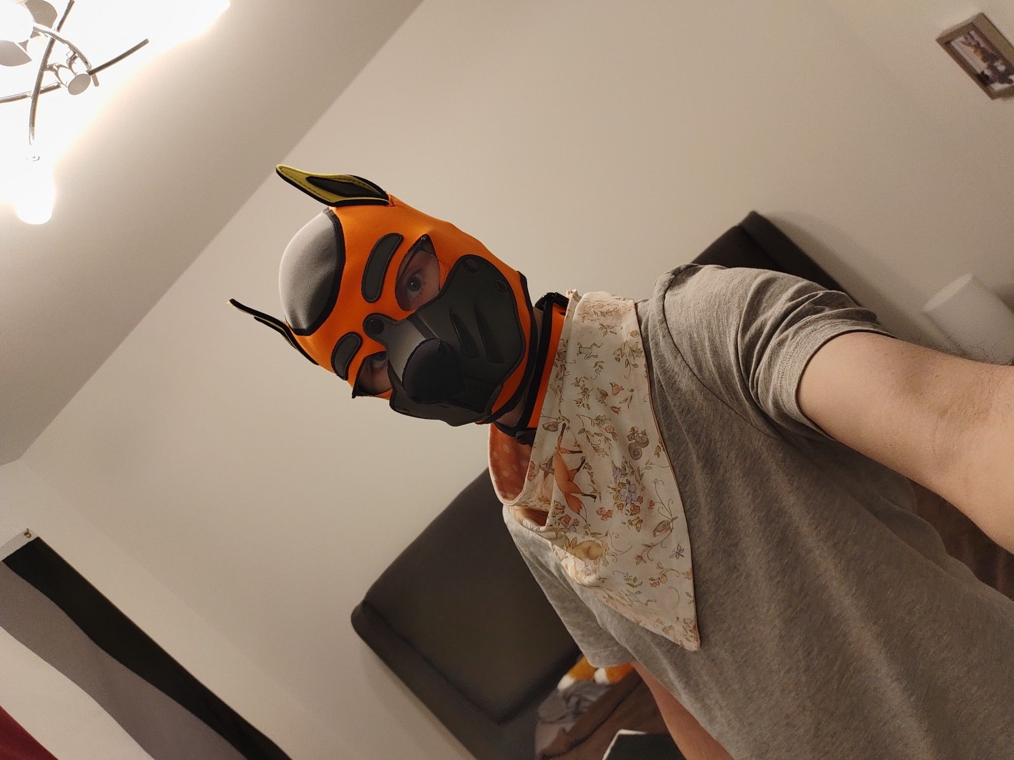 Wearing a bandana with my foxy hood.