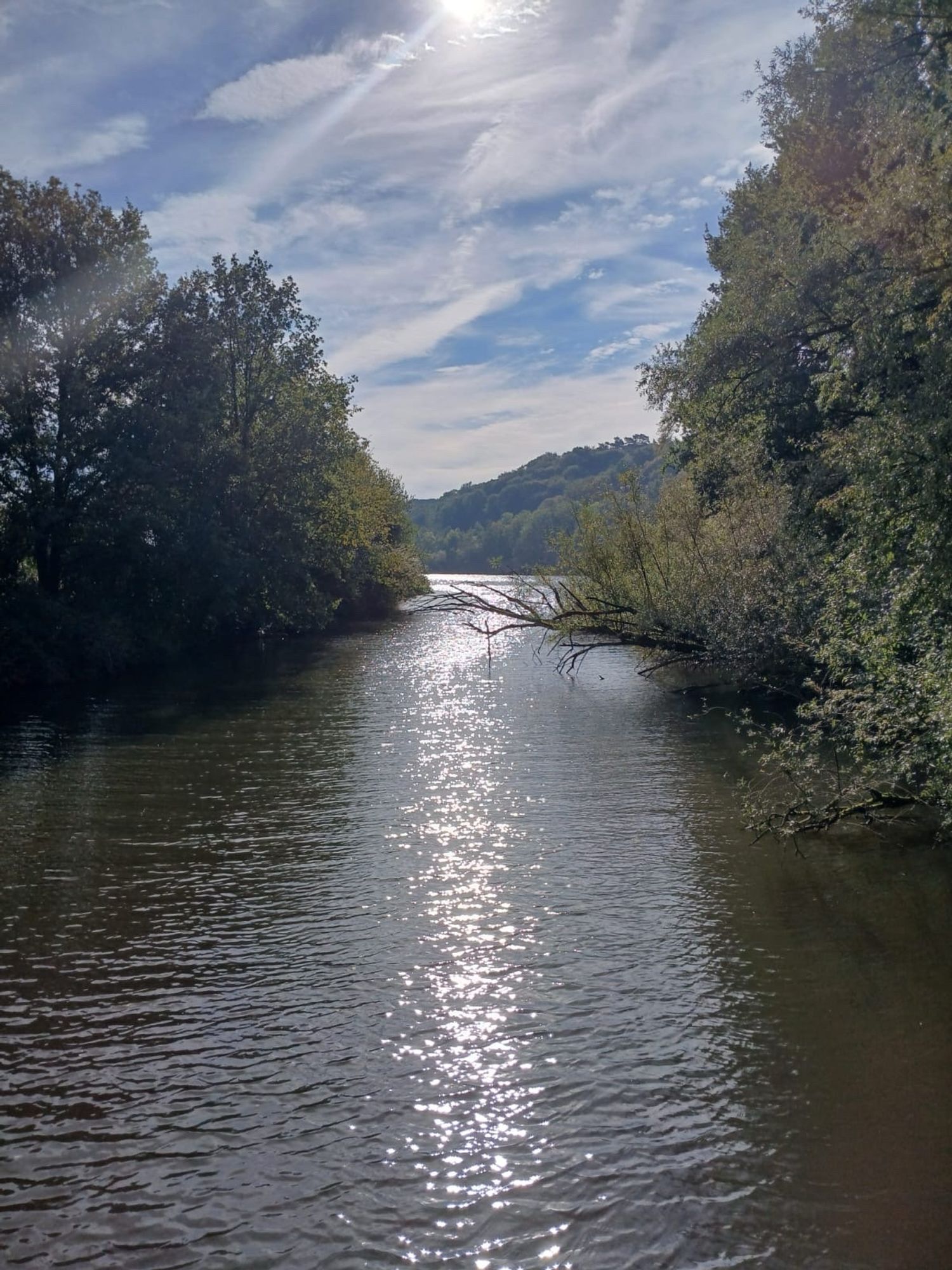 De zon glinstert in het water, een rivier. Aan weerszijden bomen, een dode tak hangt over het water