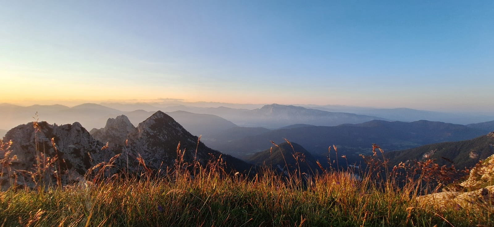 Wuivend gras in Slovenië. Bergroppen, avondrood en wolkenloze lucht