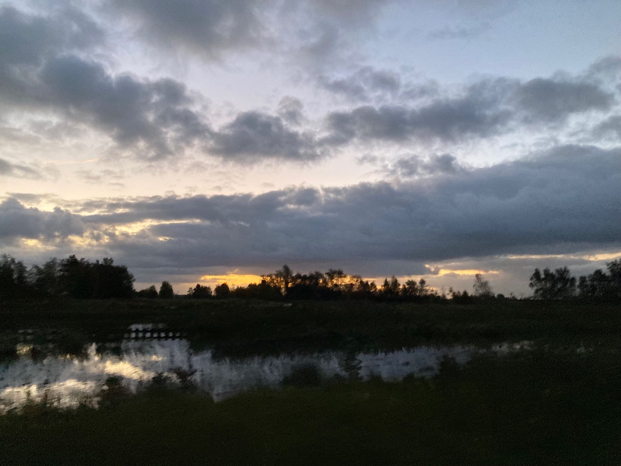 Avondzon achter de bomen. Wolken weerspiegelen in ven