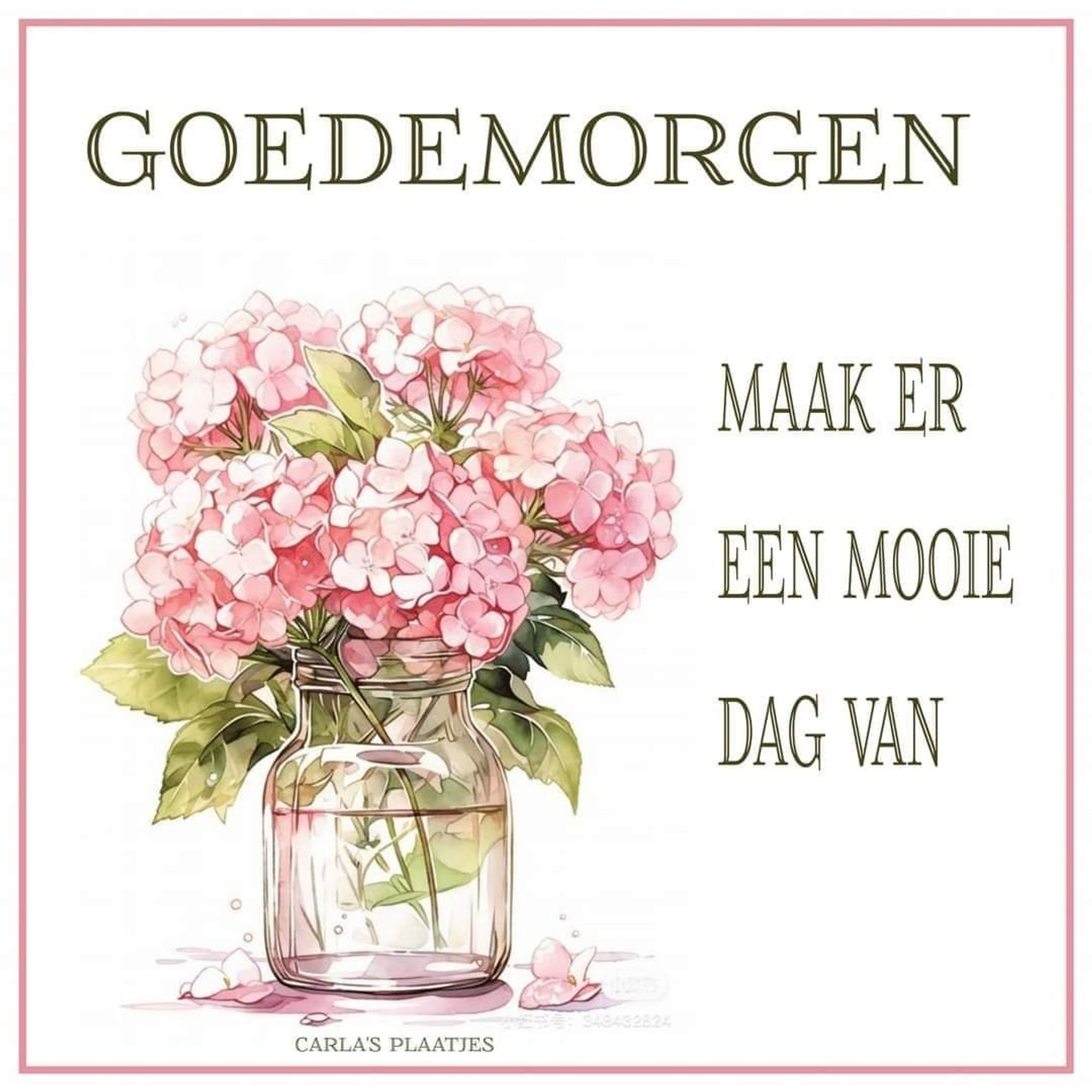 Pot met rose hortensia s.
Goedemorgen  maak er een mooie dag van