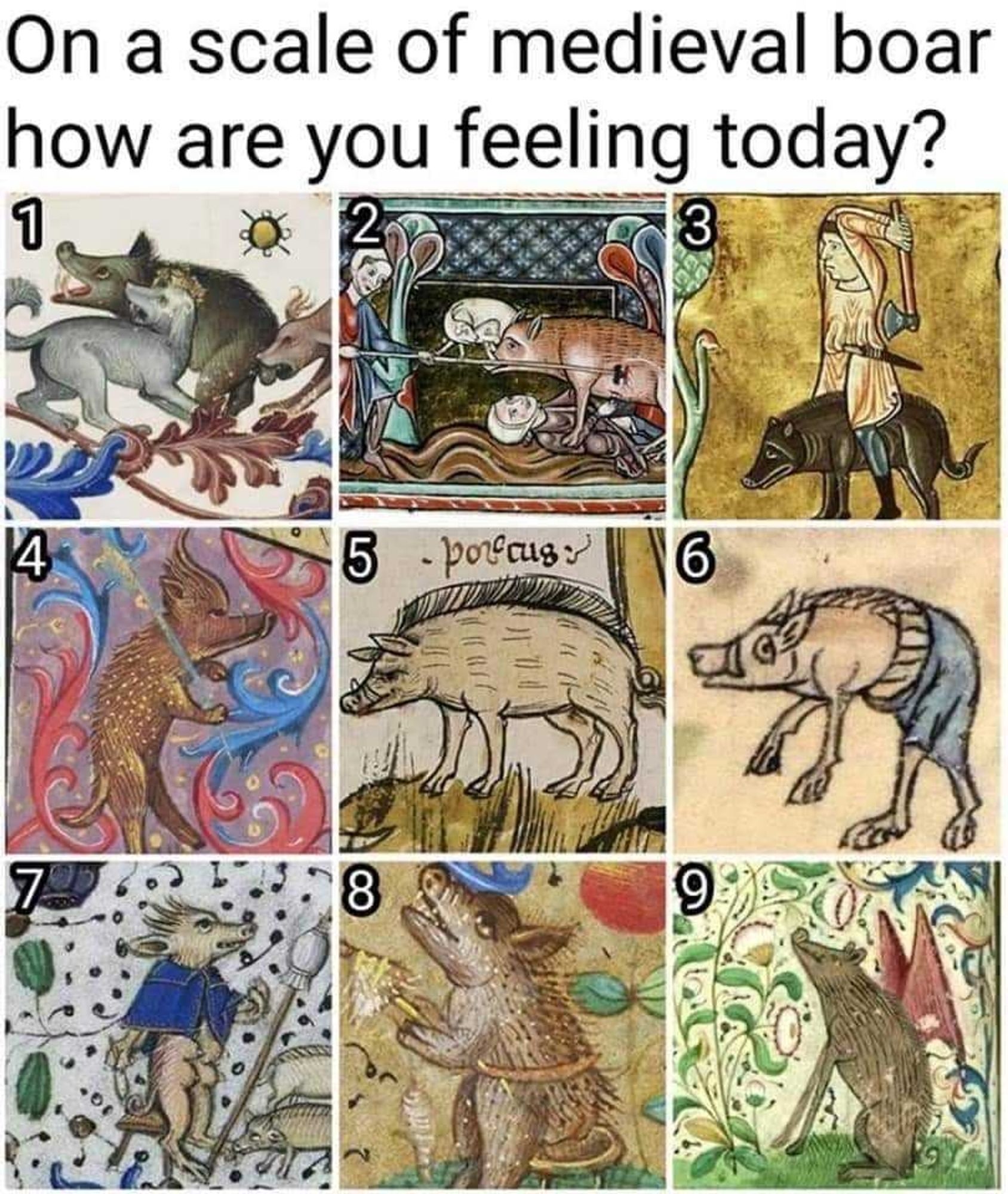 Heading: "On a scale of medieval boar, how are you feeling today?"

A grid of images of boars cropped from medieval manuscripts, numbered 1-9.
1 is fierce, fighting hunting dogs
2 is standing on top of one person and being stabbed by another, looking resigned 
3 is being ridden by an ax-wielding guy, very stoic
4 is standing upright, holding a sword, unyielding and determined
5 is exhausted, standing on grass, labeled "porcus" 
6 is wearing pants and deeply confused about it
7 is extremely dapper, wearing a nice little cape
8 is sitting on a stool, gazing upward, possibly singing
9 has wings and is smiling beatifically