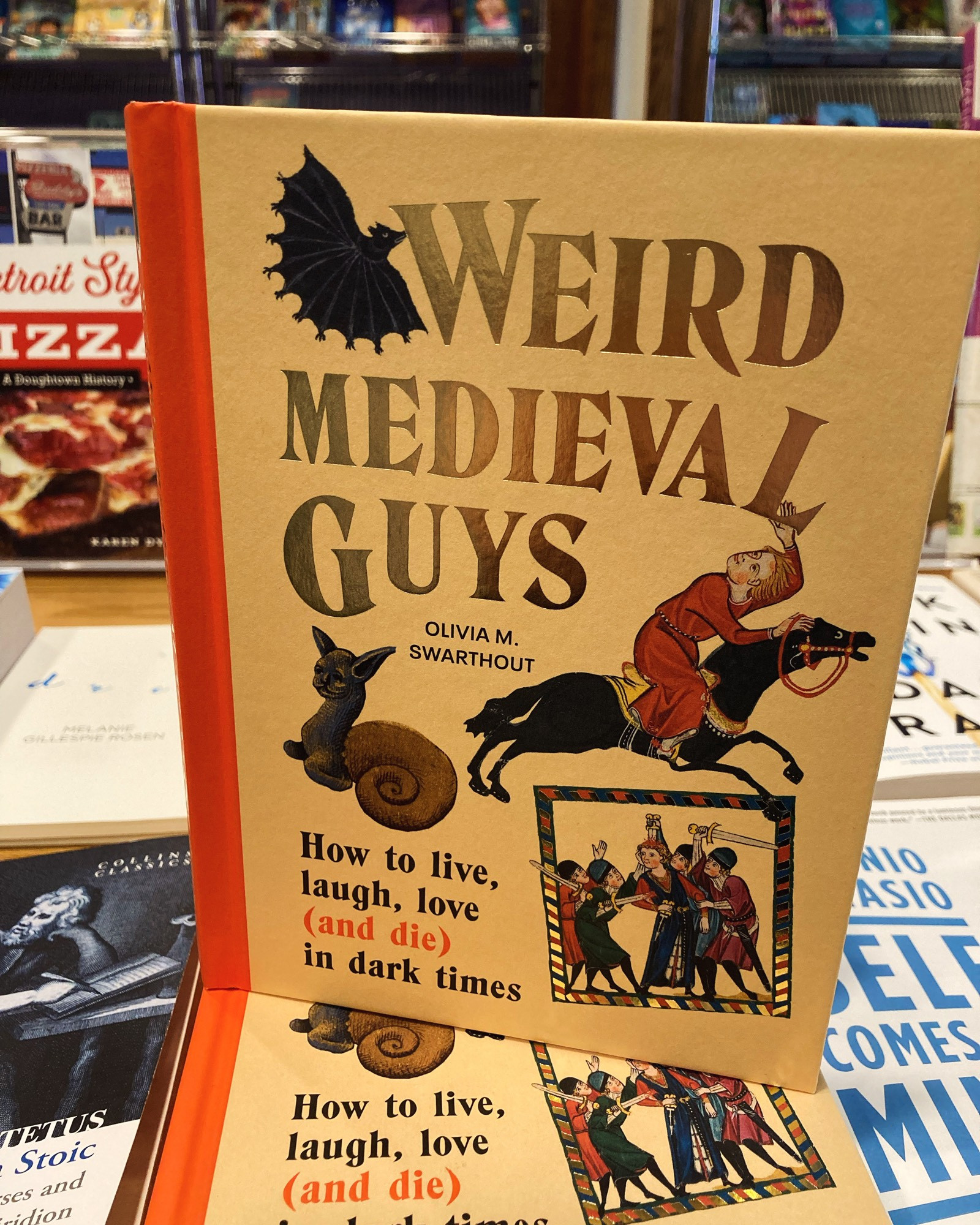 Book propped upright. It's Weird Medieval Guys by Olivia M Swarthout. Prominent images are an illustration of a man awkwardly riding a horse while twisting his neck fully backwards to look up at the sky at a bat or something. There is also a beast with the top half of a cat and the bottom half a snail.