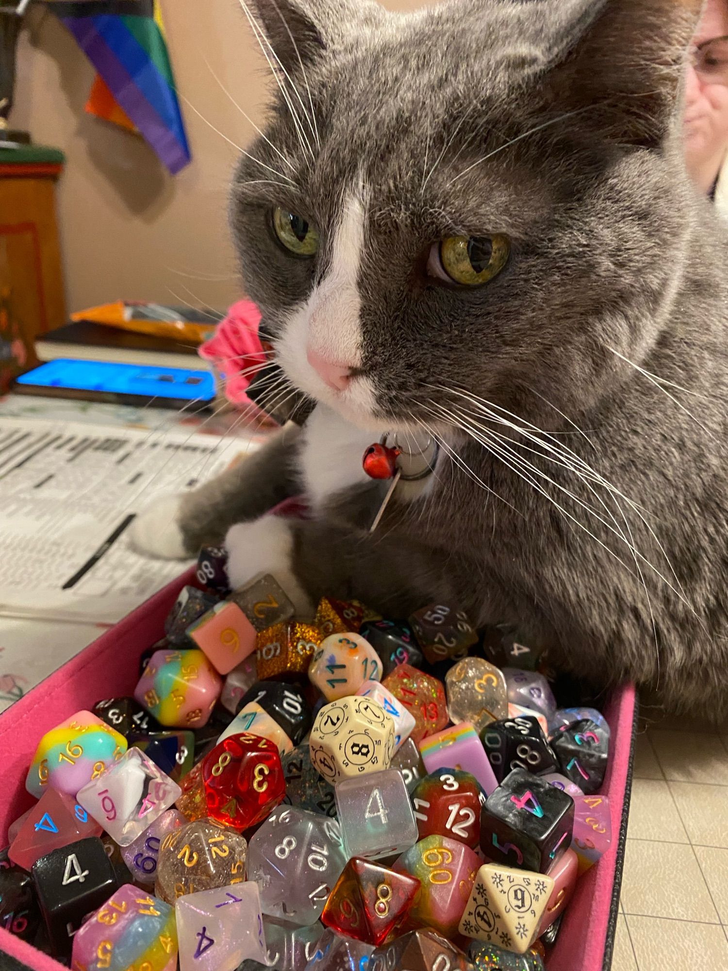 Picture of the world’s sweetest fattest baby of a cat, sitting on a dice tray full of dice. A Pathfinder sheet can be seen under one of his paws.