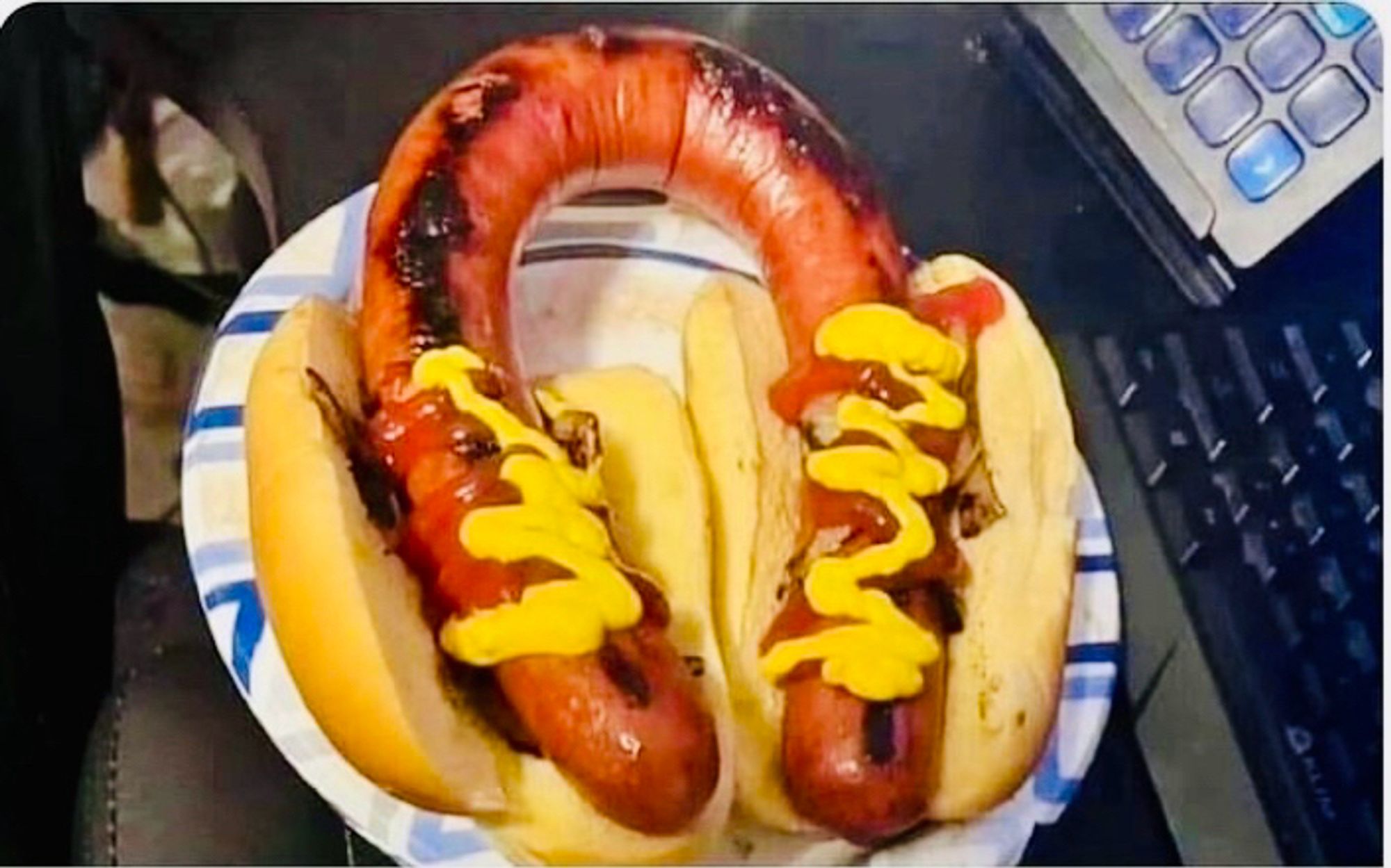 A kielbasa bent onto two hot dog rolls with mustard on them