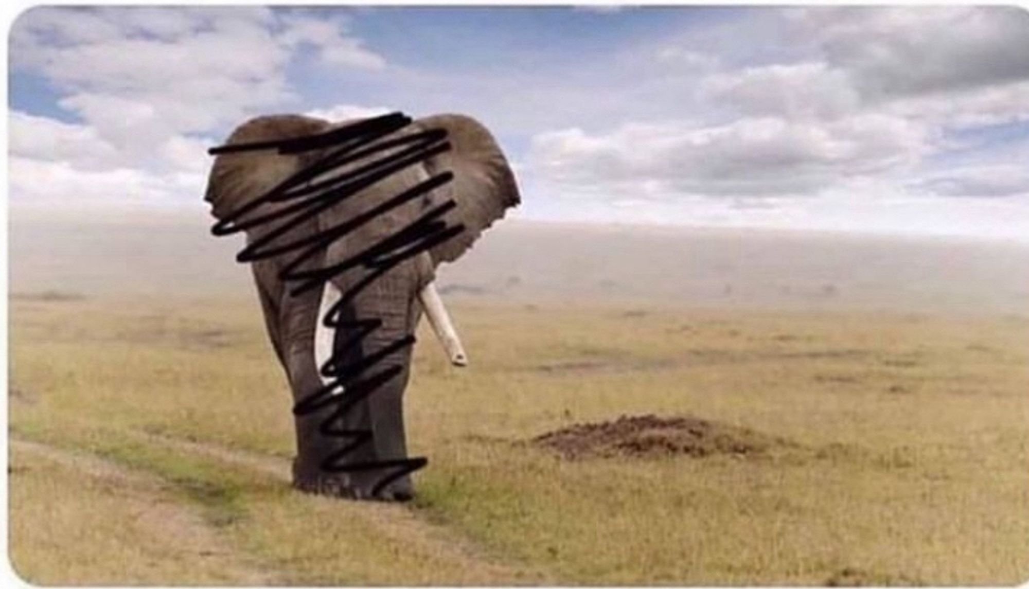 A photo of an elephant walking in a grassy field that has a couple of black scribbles on it. You ac still clearly see that it’s an elephant