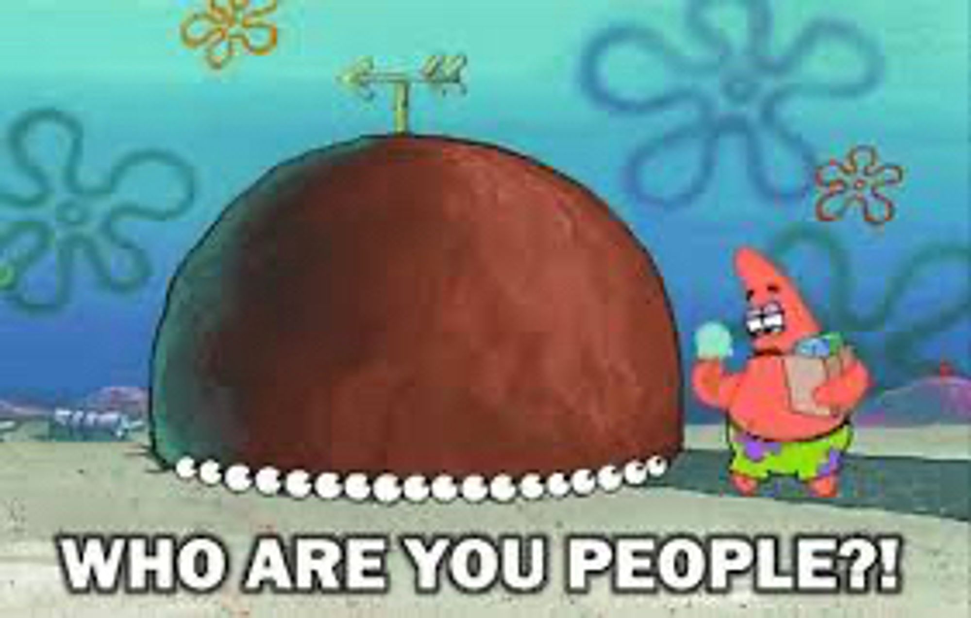 Patrick Star from Spongebob coming home to find several strangers in his rock. Captioned text: “Who are you people?”