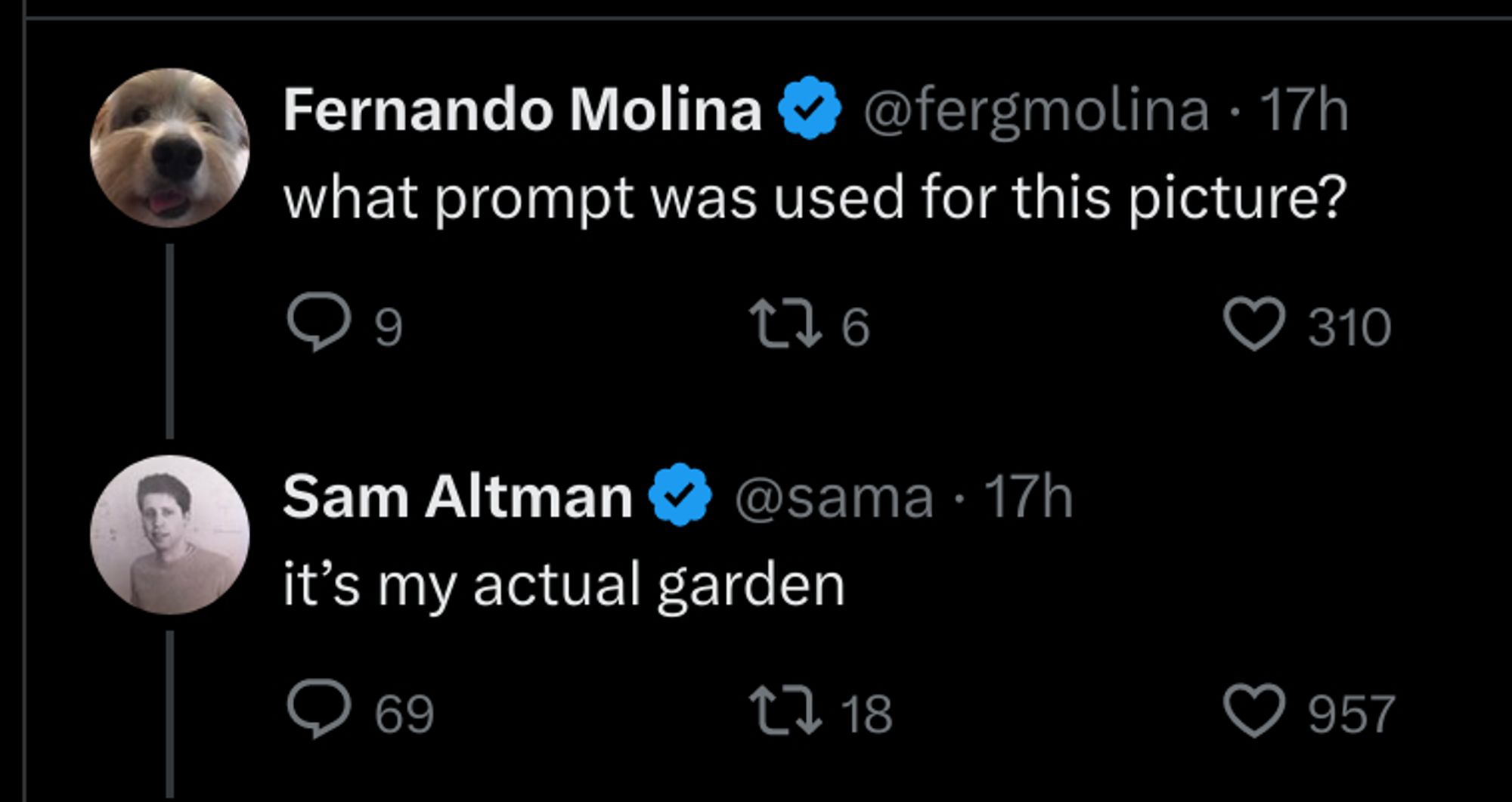 twitter screenshot:

Fernando Molina (who is not famous but has a bluecheck regardless): what prompt was used for this picture?

Sam Altman: it's my actual garden