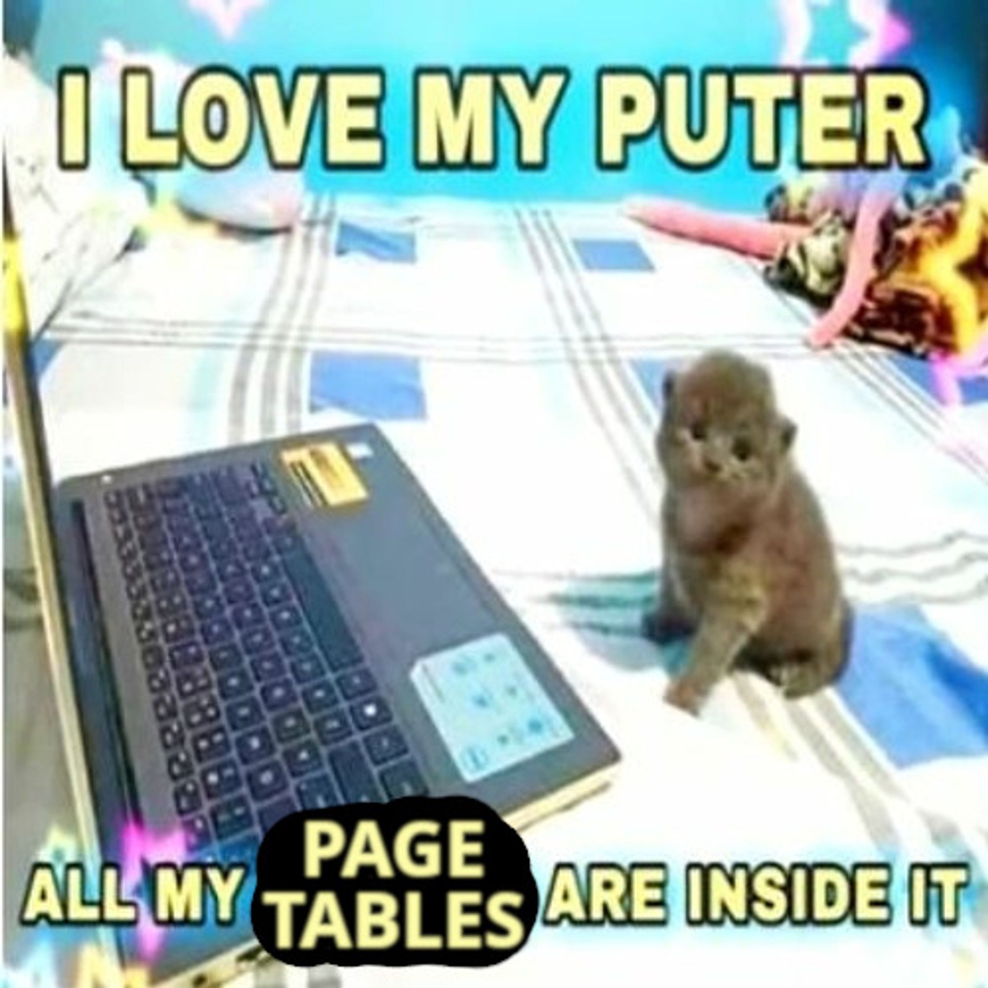 kitten at laptop, captioned: I love my puter, all my [page tables] are inside it