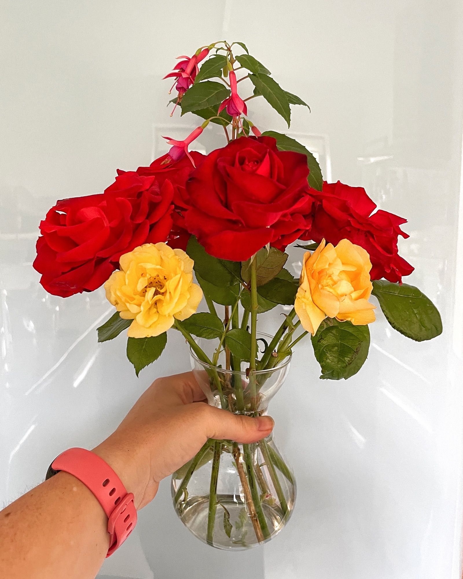 Sox large deep red rises, two small peach-yellow roses and a sprig of pink fuchsia in a curved glass vase. They are being held up against a glossy pale surface.