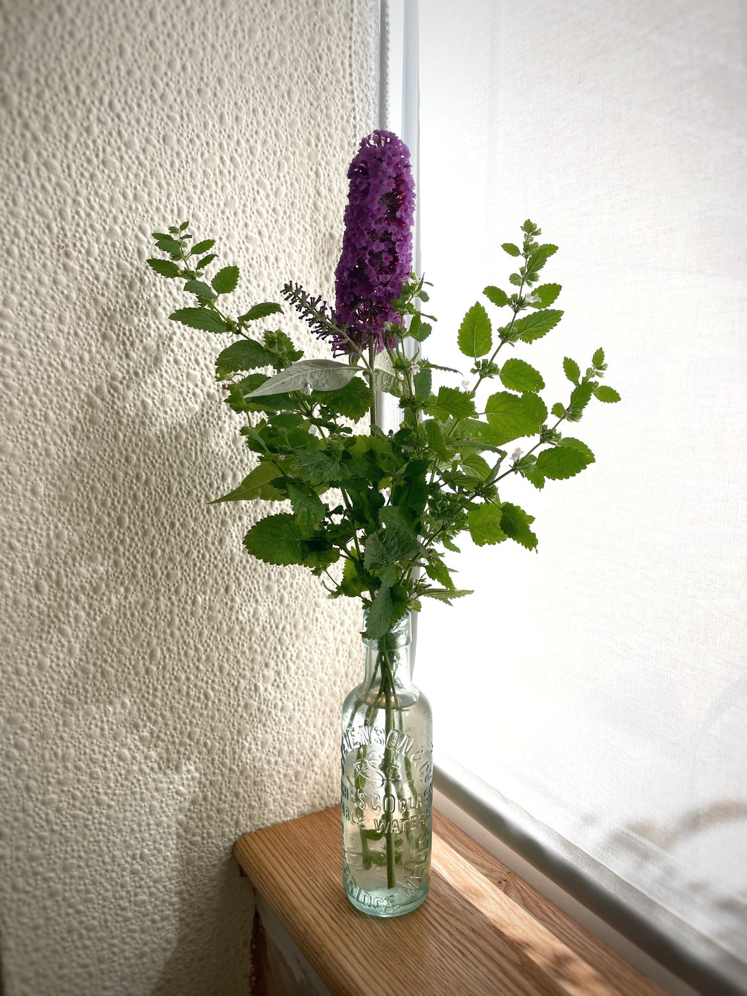 A tall dark purple flower spike surrounded by green foliage in a vintage glass bottle. It sots on a pale wood window sill, beige anaglypta wallpaper to the left, bright white privacy blind to the right.