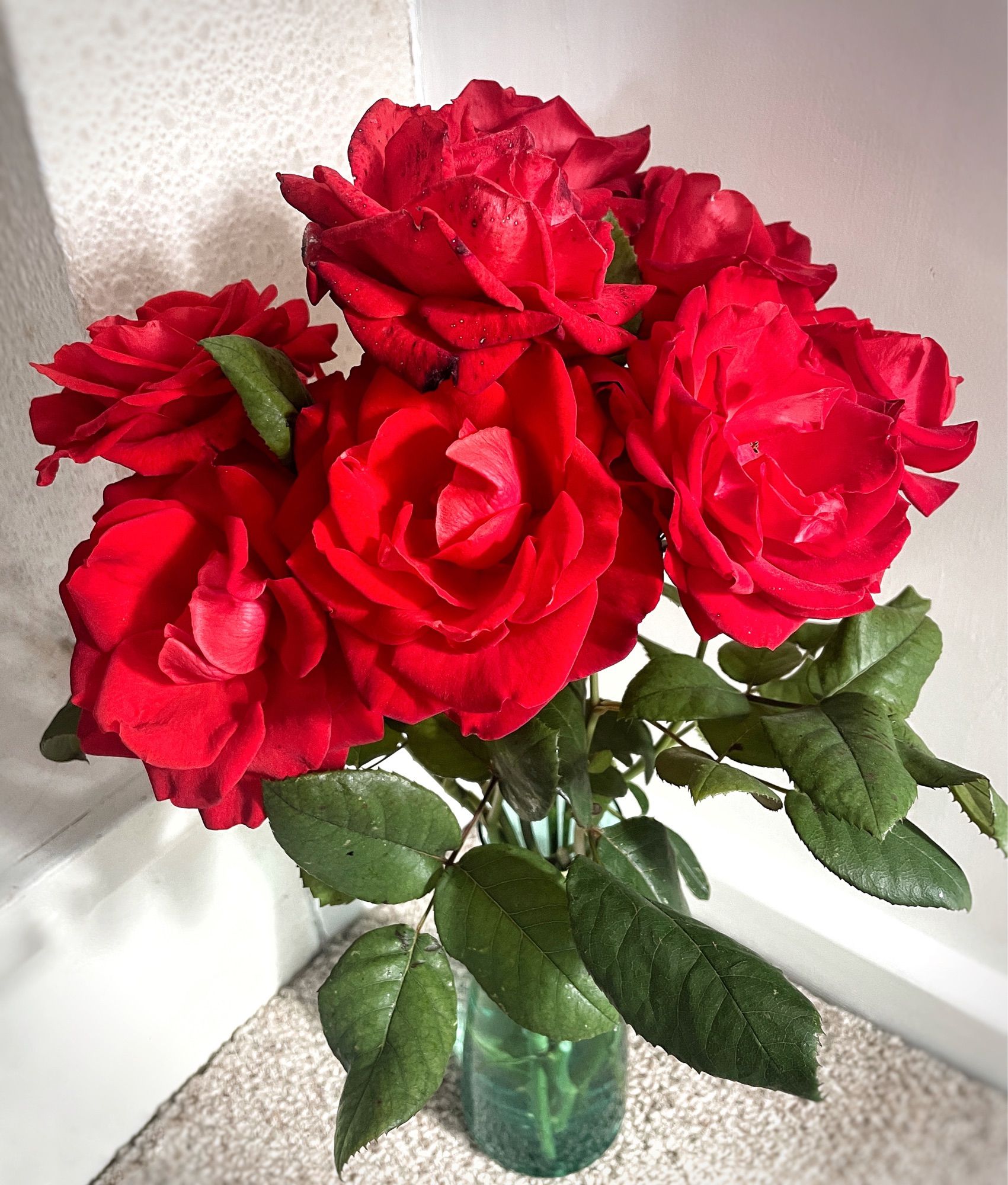 About 8 large bright red roses, some with green leaves, clustered in a vase. Photographed slightly from above they sit in a corner in beige carpet against pale walls.