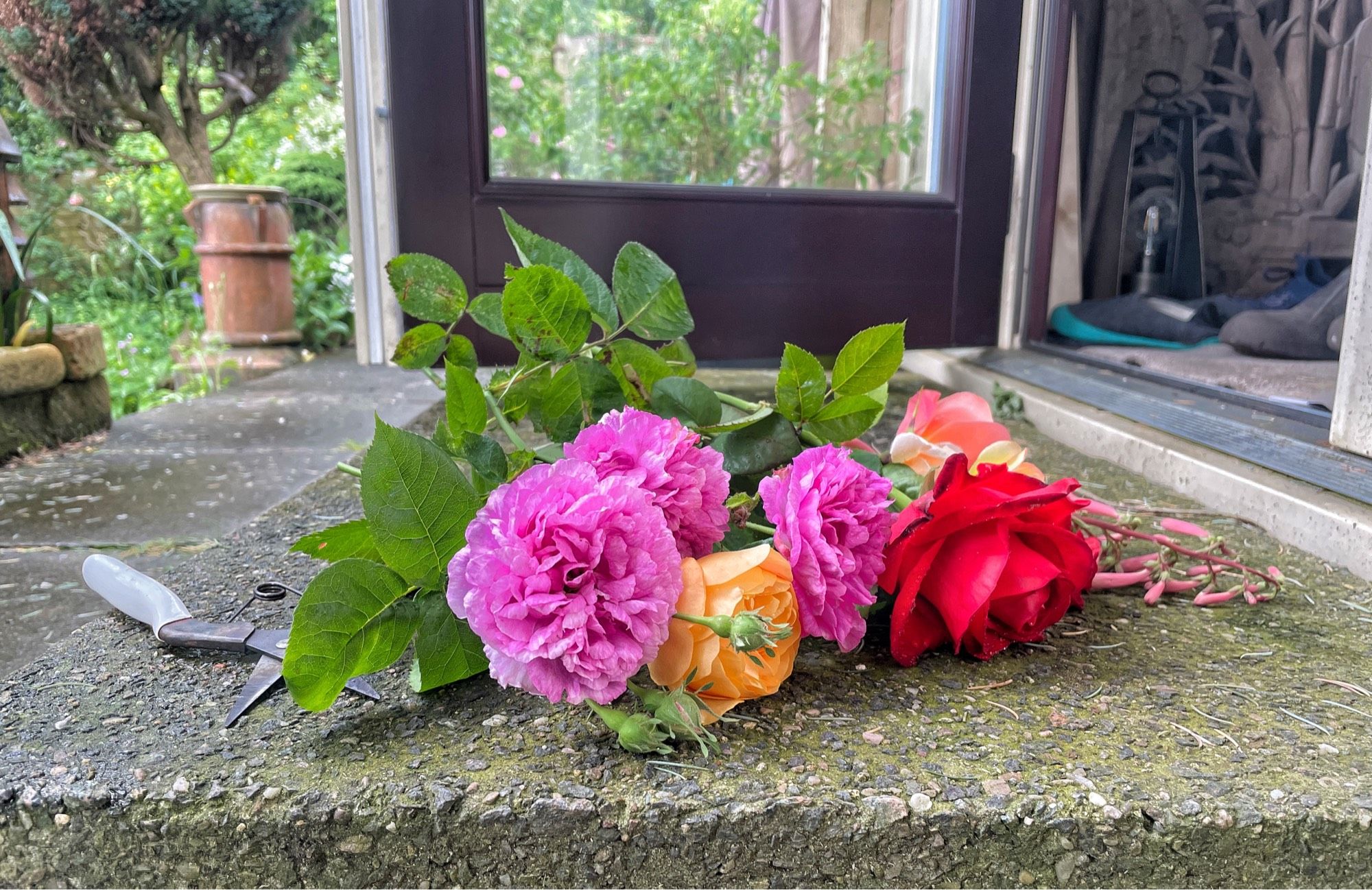 7 or 8 roses, key colours red, purple and apricot, lying in a rough concrete step. The background is an open patio door, a view right into a room and left to a garden.