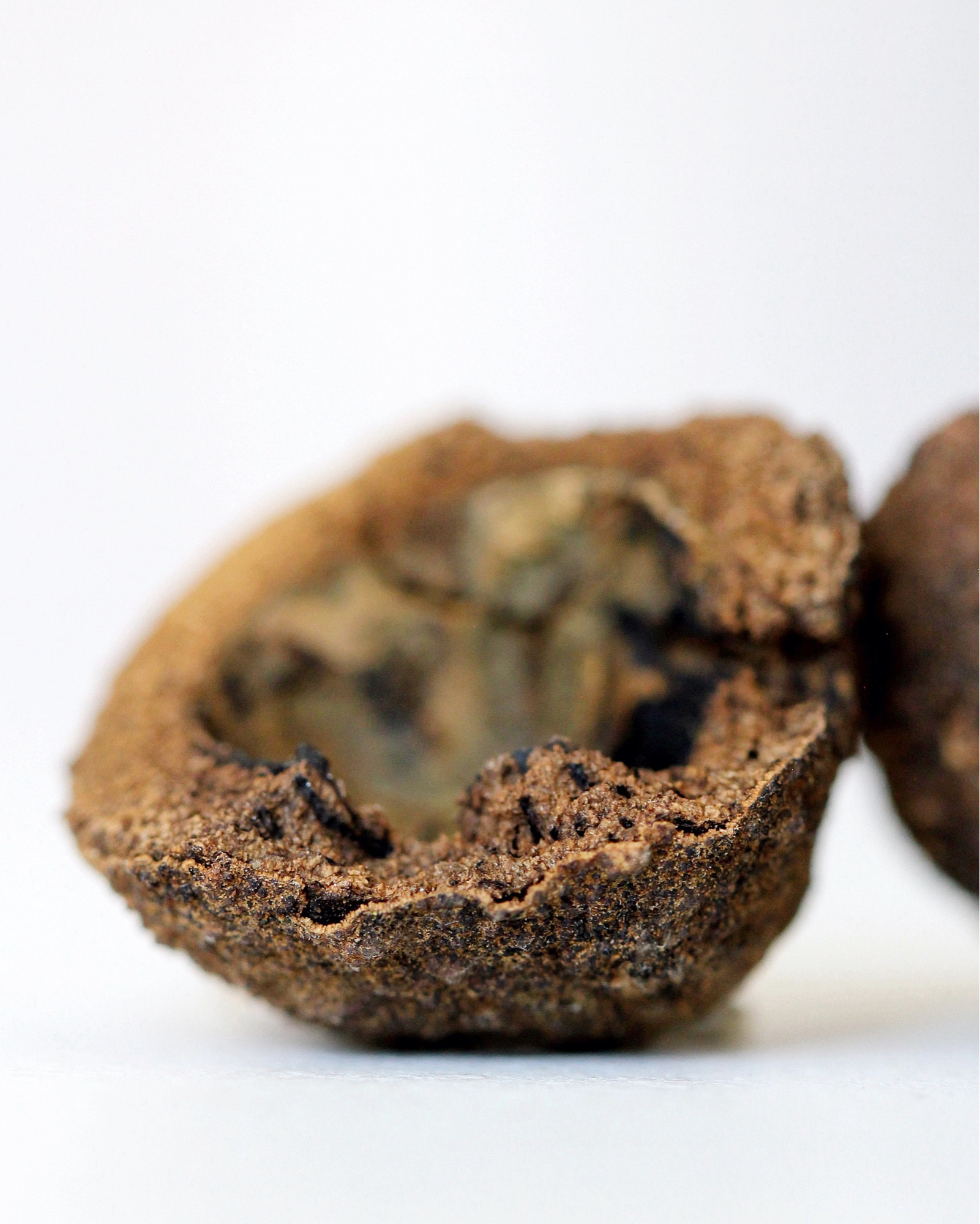 A photograph that is a close, detailed look at a brown tree pod on a white background.