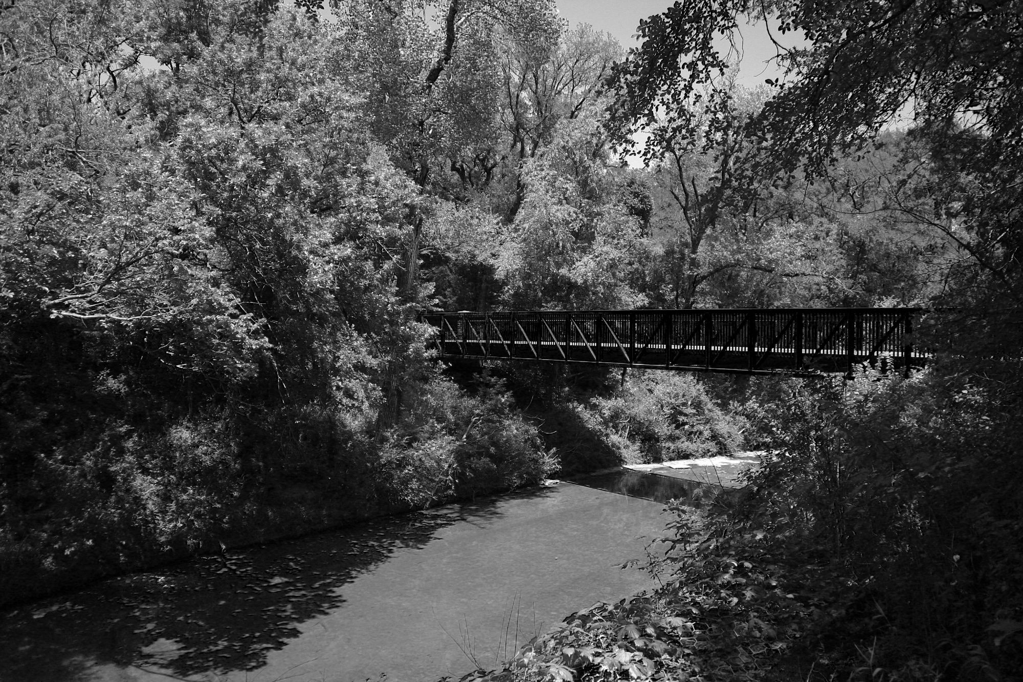 Black and white photograph of a dark metal bridge connected two densely vegetated areas with a creek running under it. 