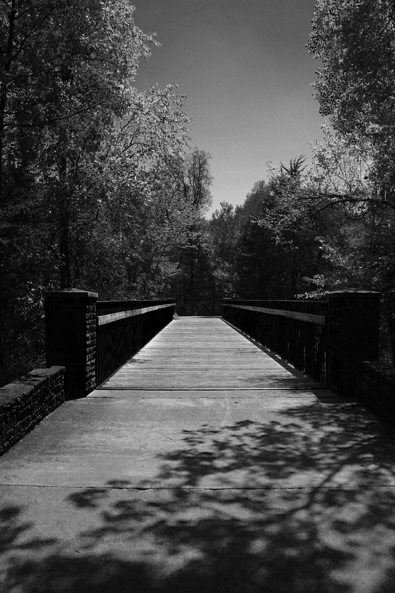 a black and white photo looking down the path of a bridge leading into a wooded area