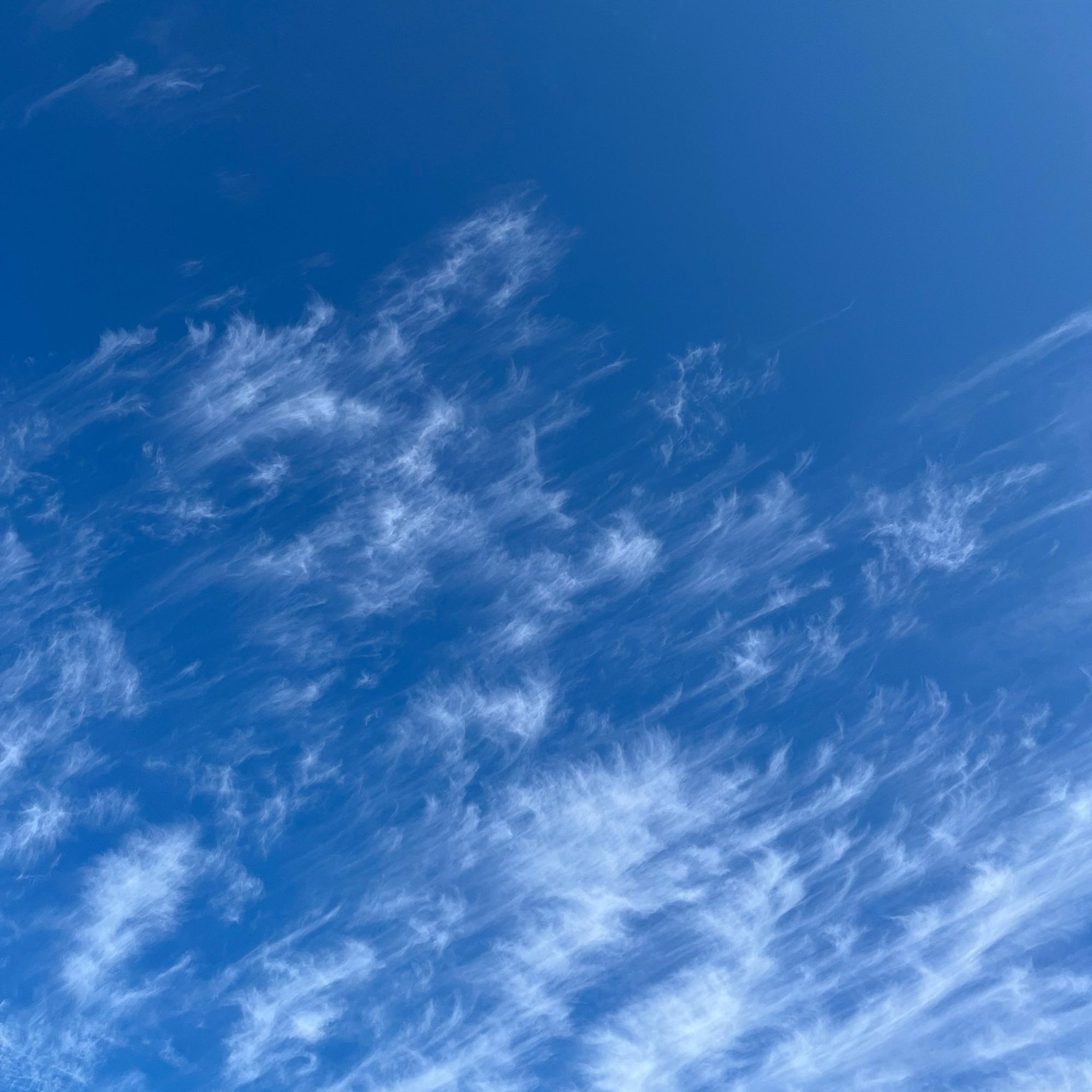 雲が綺麗な青空。
空が高くなって秋らしいです。