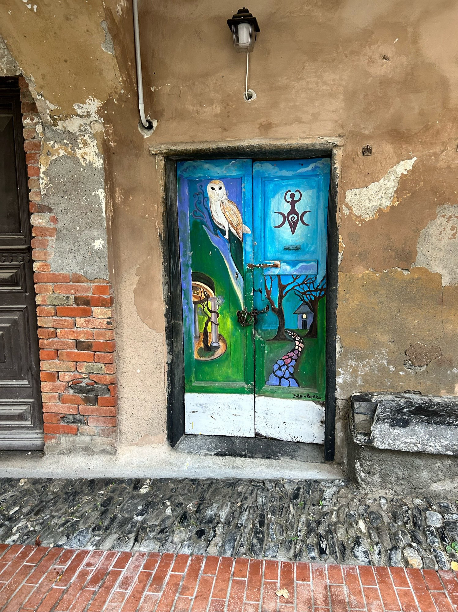 Picture of a door with illustrations showing occult symbols, an owl, a path through dark woods etc