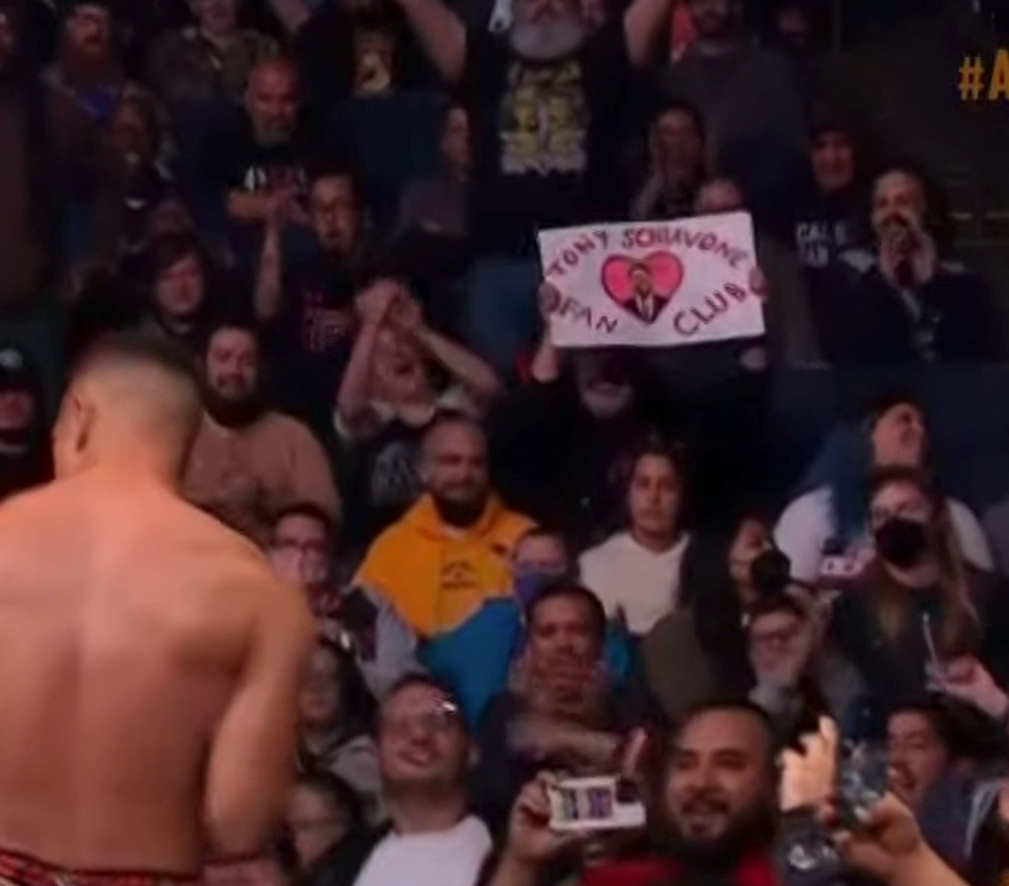 A sign in the crowd that says "TONY SCHIAVONE FAN CLUB" surrounding a pic of Tony inside a pink heart.