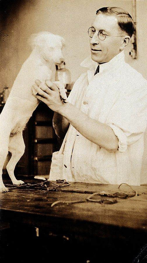 Um homem segurando um cachorro branco em pé em cima de uma mesa. O homem usa um óculos de aros redondos e veste um jaleco branco. Imagem em preto e branco (pelo desgaste do tempo as cores são sépia e branco).