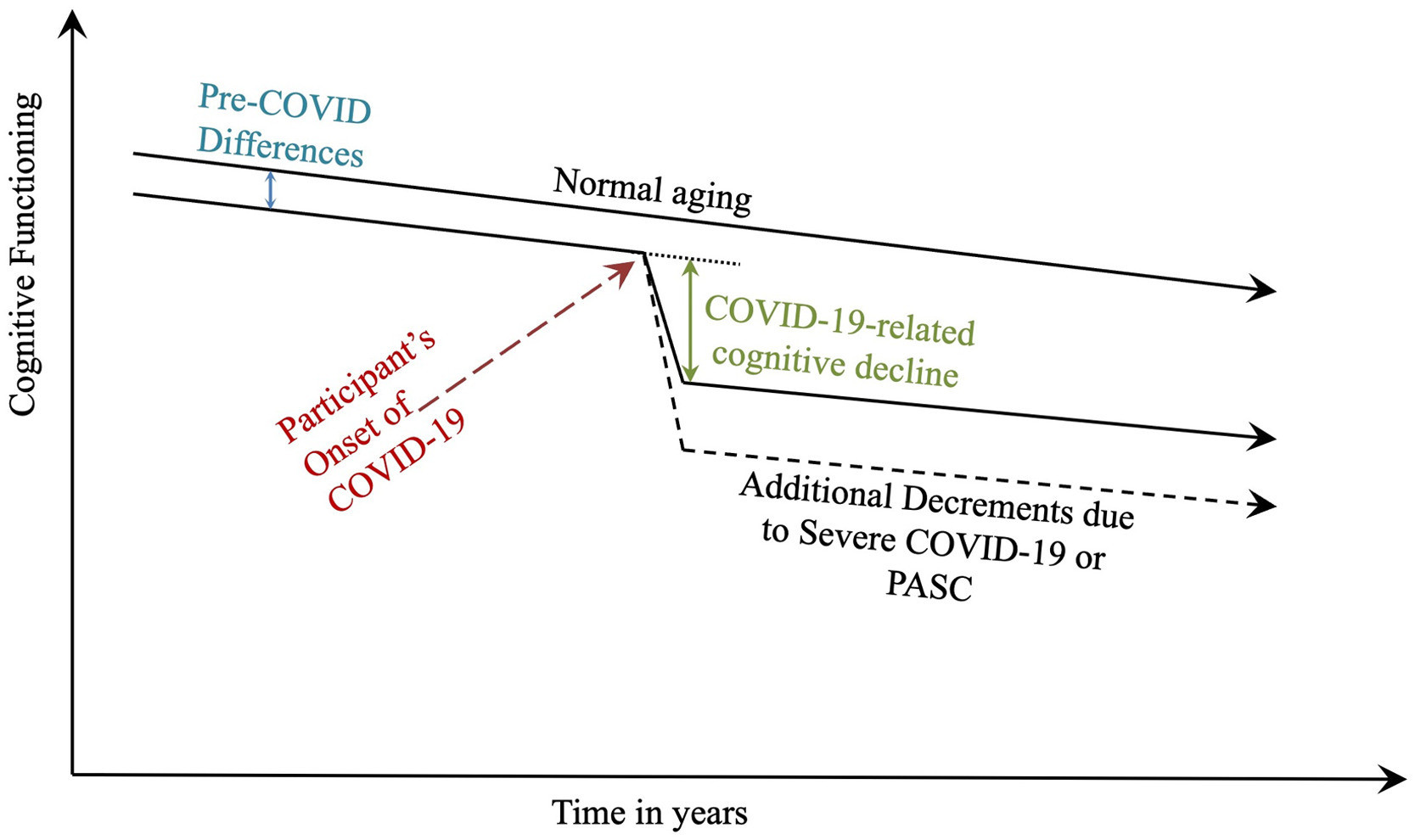 Curve showing that people who had COVID, had lower cognitive function than normal people with normal brain aging.