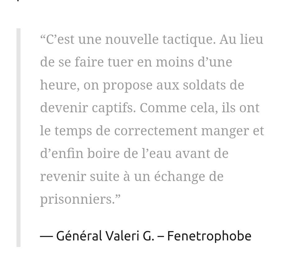 “C’est une nouvelle tactique. Au lieu de se faire tuer en moins d’une heure, on propose aux soldats de devenir captifs. Comme cela, ils ont le temps de correctement manger et d’enfin boire de l’eau avant de revenir suite à un échange de prisonniers.”

Général Valeri G. – Fenetrophobe