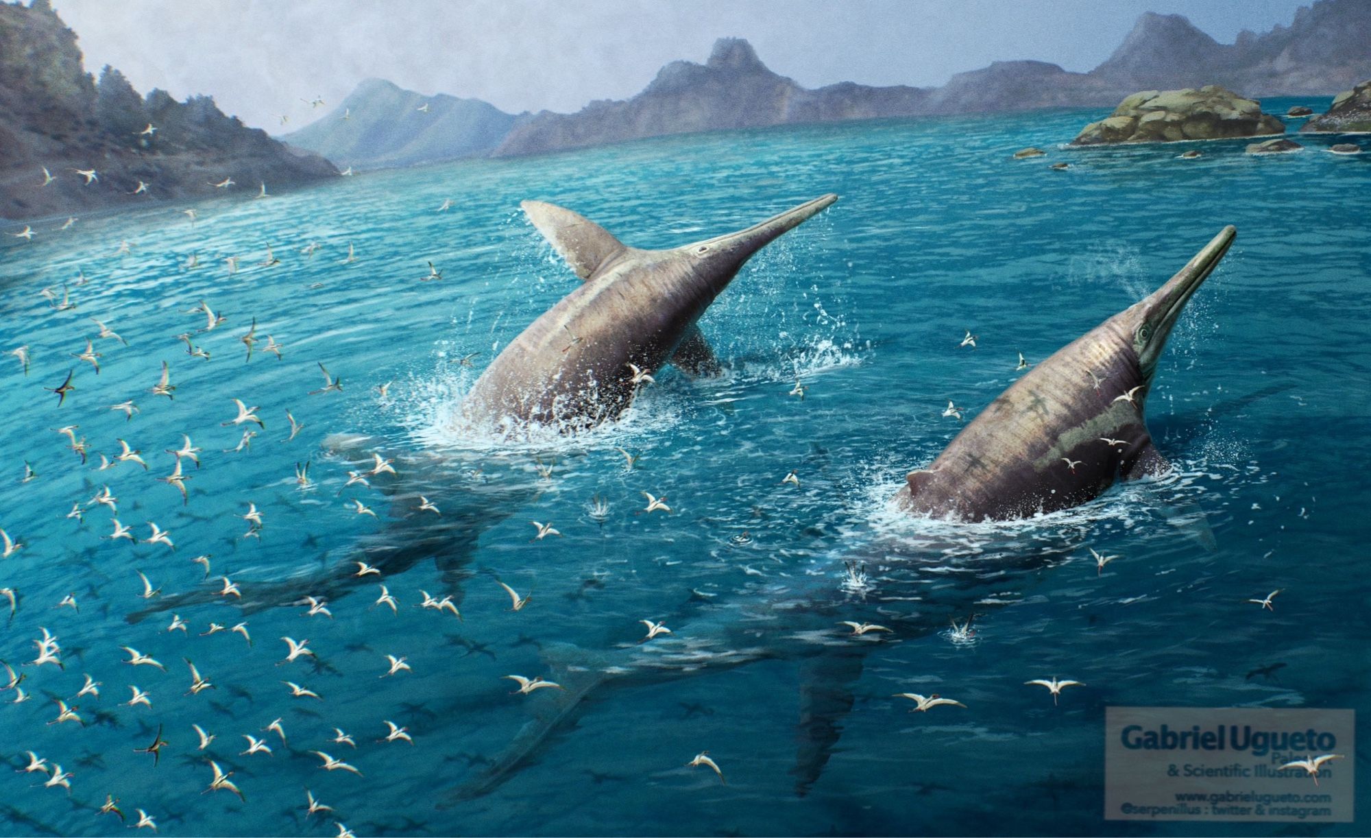 A reconstruction of a pair of Ichthyotitan swimming in coastal waters while a flick of pterosaurs fly around them