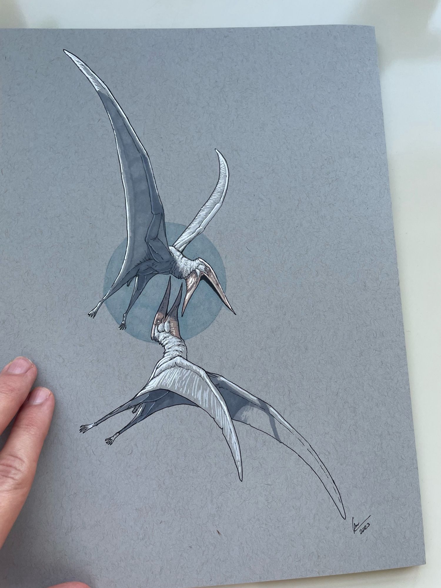 Ink and marker sketch of two pterosaurs