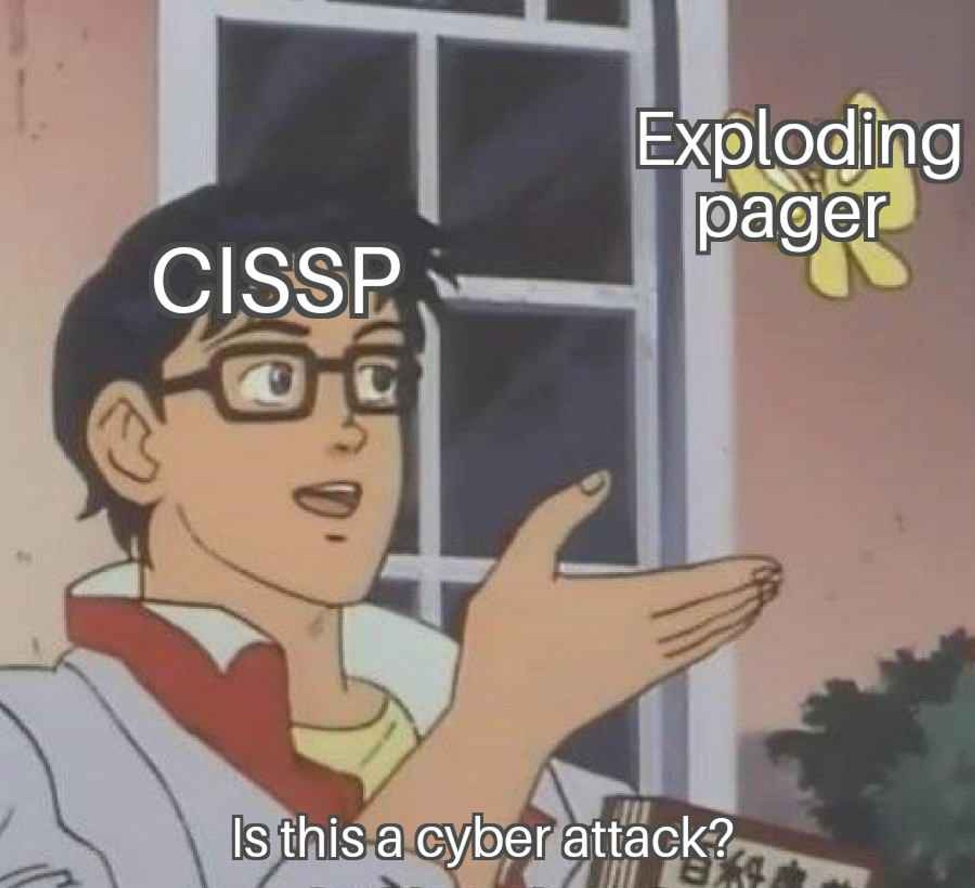 dude in glasses referred to as the CISSP releasing a butterfly as “exploding pager” and asking “is this a cyber attack?”