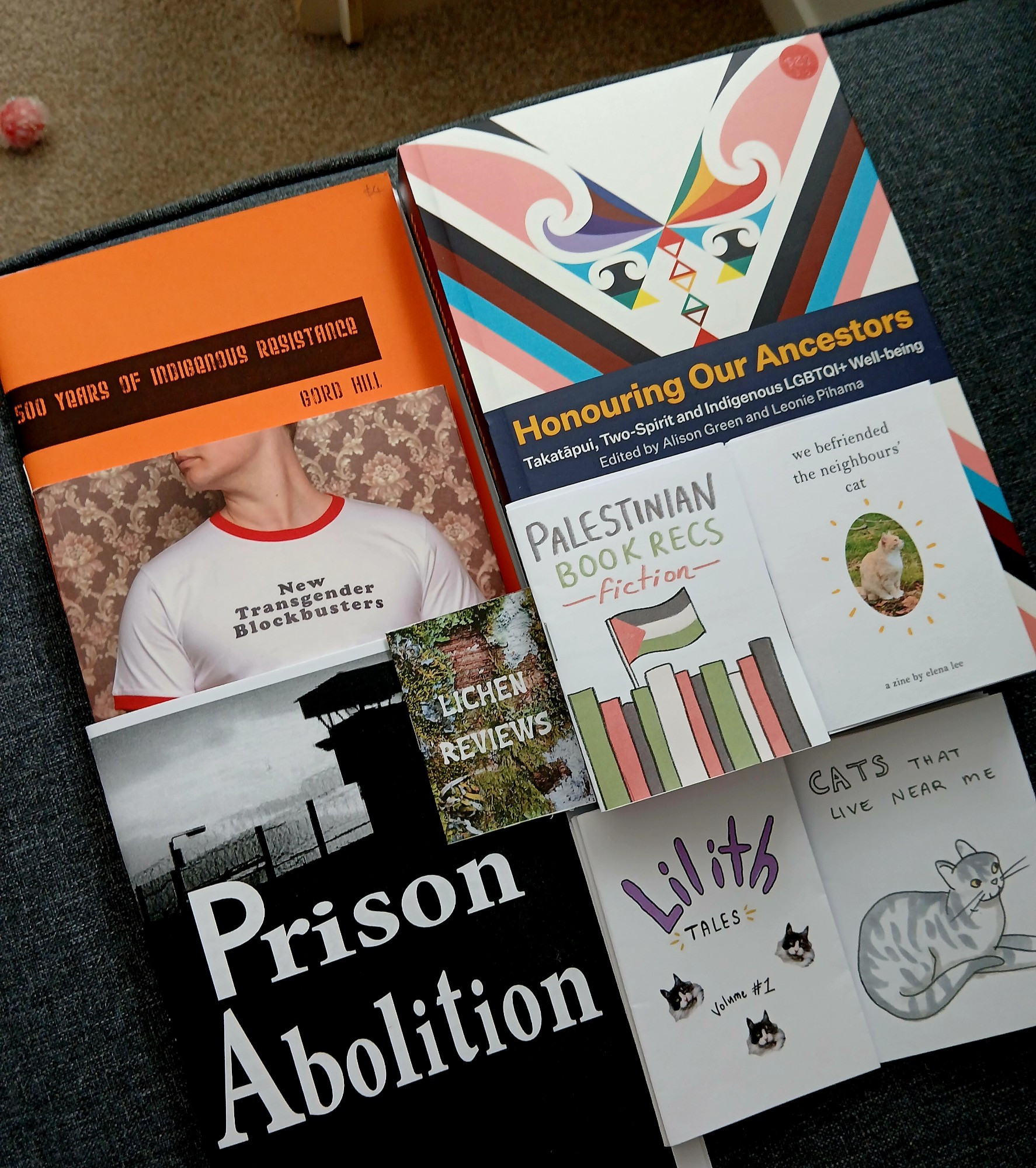 Collection of books and zines: Honouring Our Ancestors, 500 Years of Indigenous Resistance, Prison Abolition, New Transgender Blockbusters, Lilith Tales vol 1, We Befriended the Neighbours' Cat, Cats that Live Near Me, and Lichen Reviews