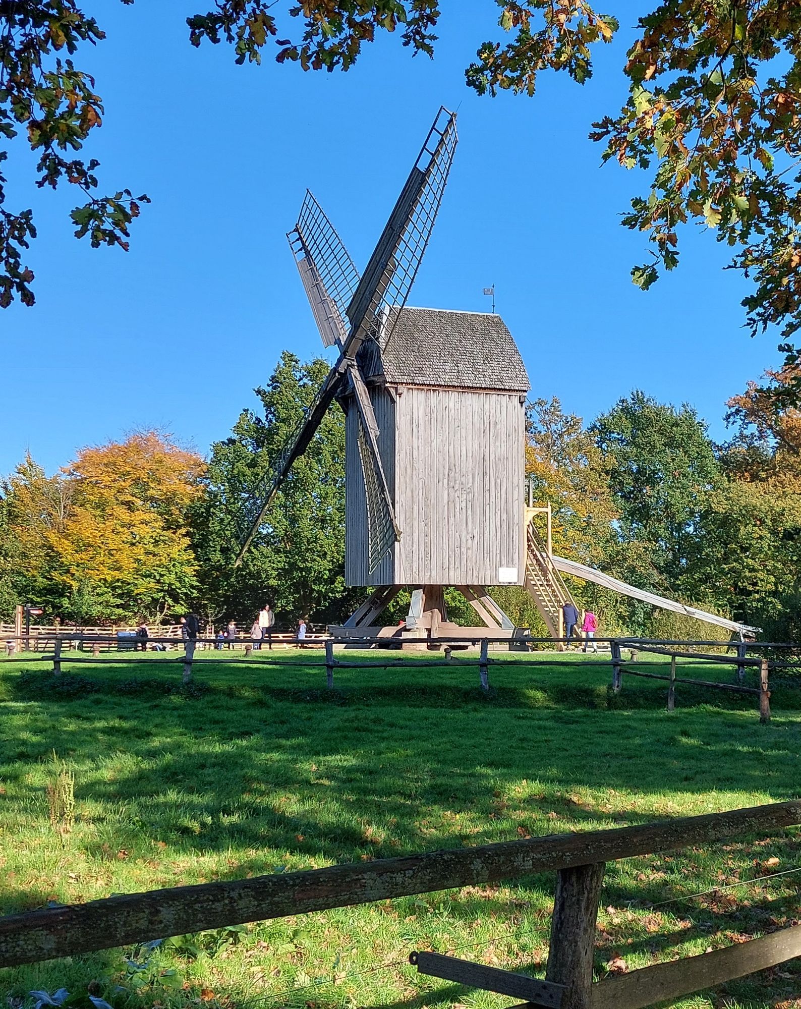 Eine Bochwindmühle unter strahlend blauem Himmel. Im Vordergrund Weide und Zaun, eingerahmt mit herbstlich gefärbten Blättern.