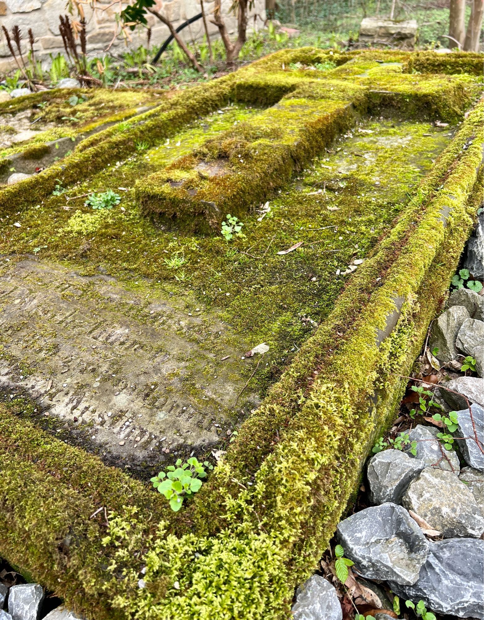 Bemooste Grabplatte. Ringsrum sind kleine Steine zu sehen, im Hintergrund ein paar Pflanzenstengel und ein Gemäuer.