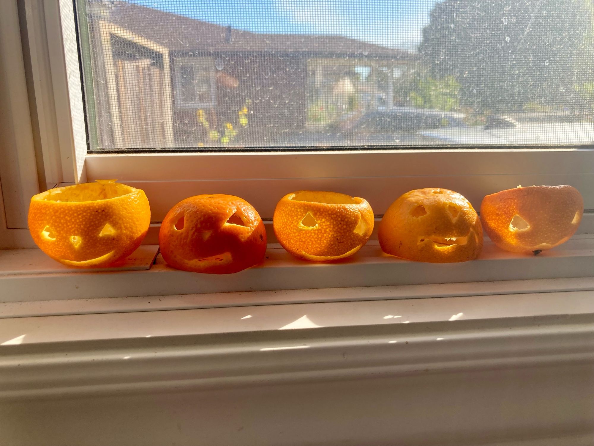 Mini Jack o’lanterns carved from scooped out clementine peels