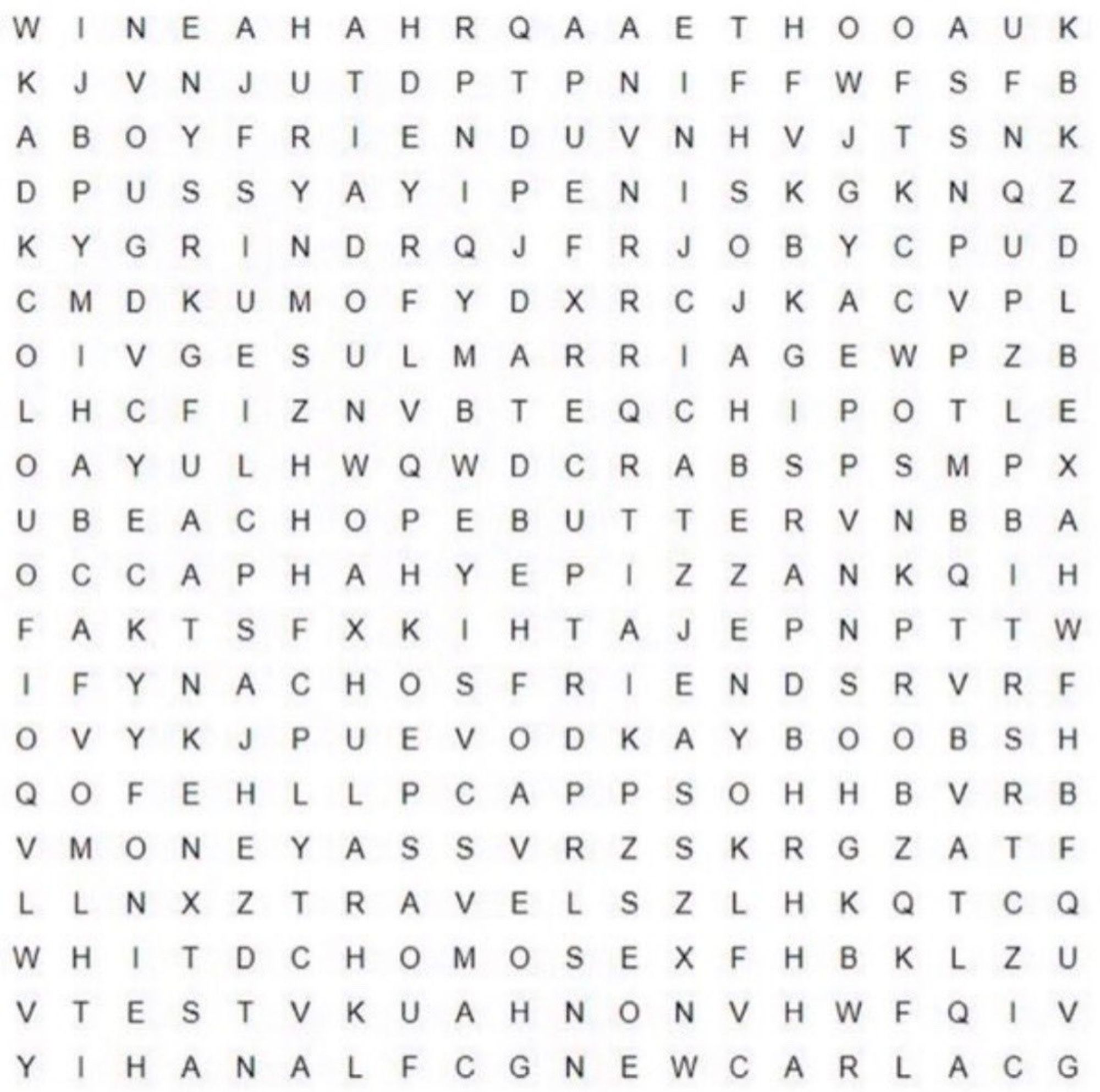 A collection of words hidden among random letters